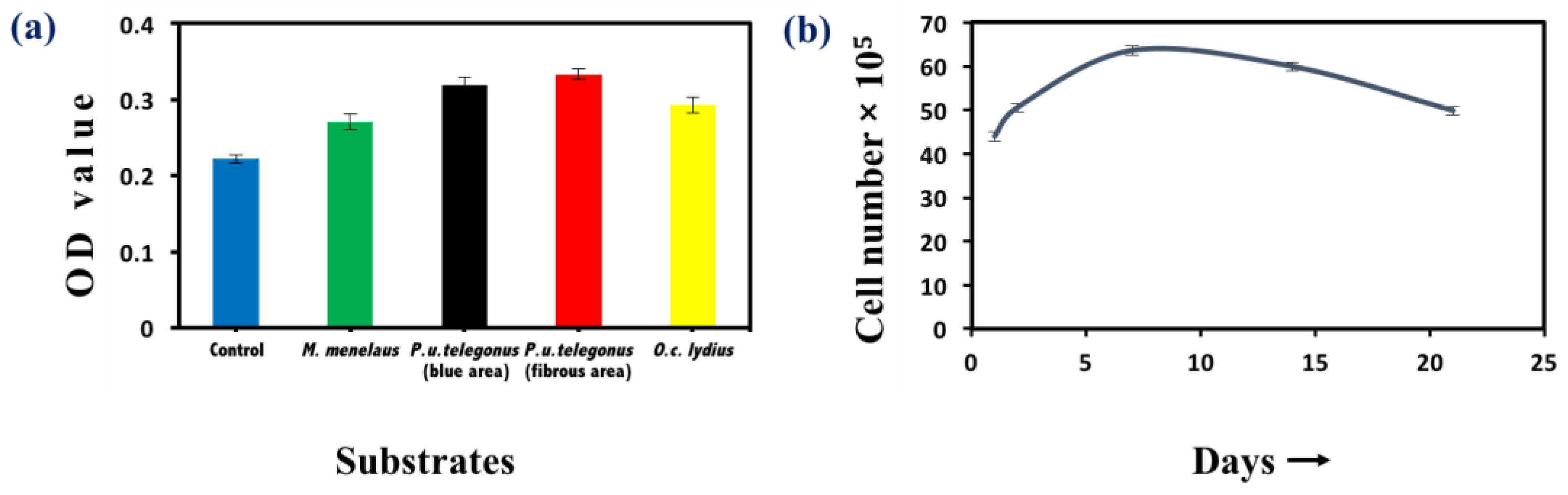 Biomimetics 03 00002 g005