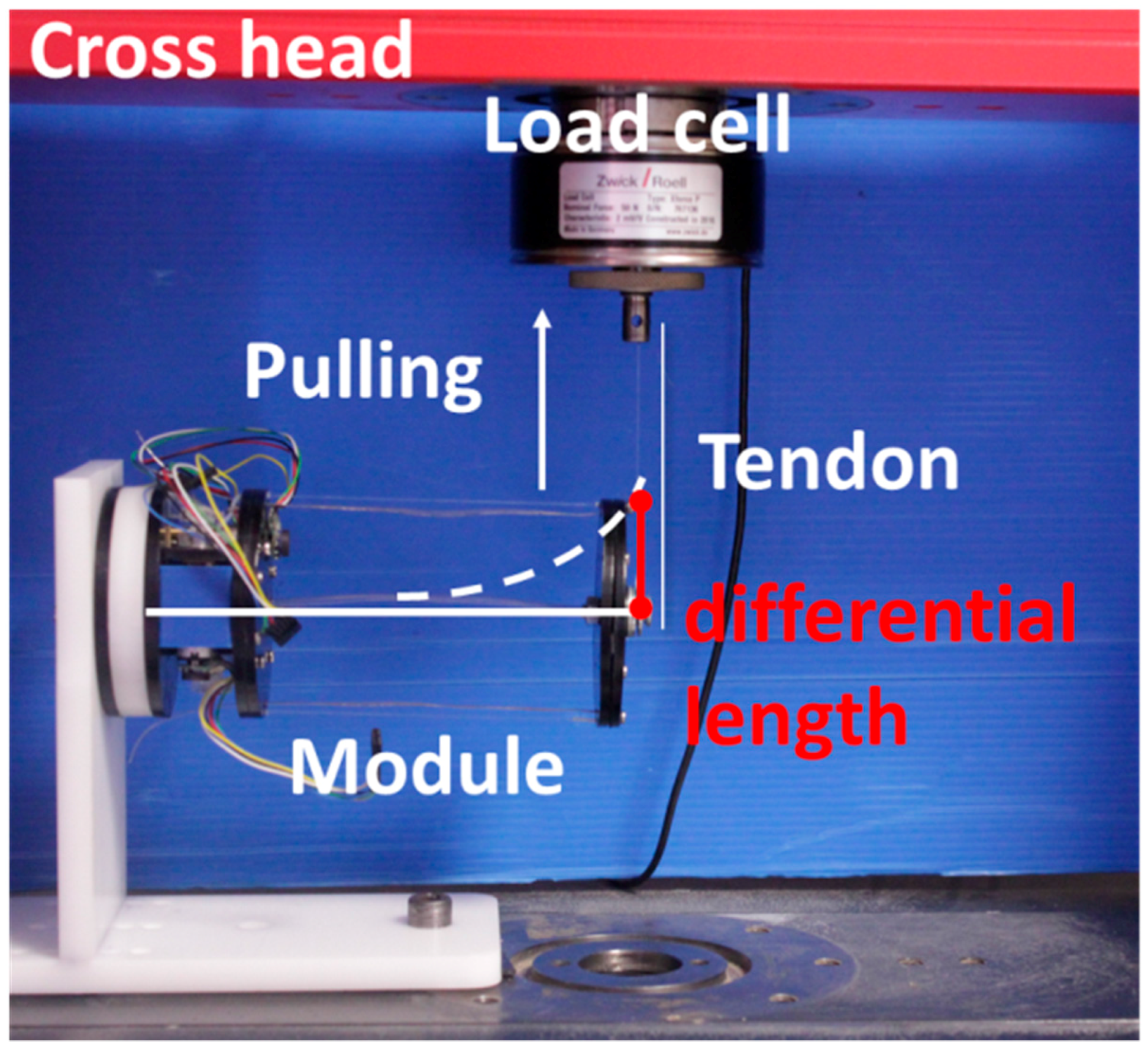 Biomimetics 03 00003 g010
