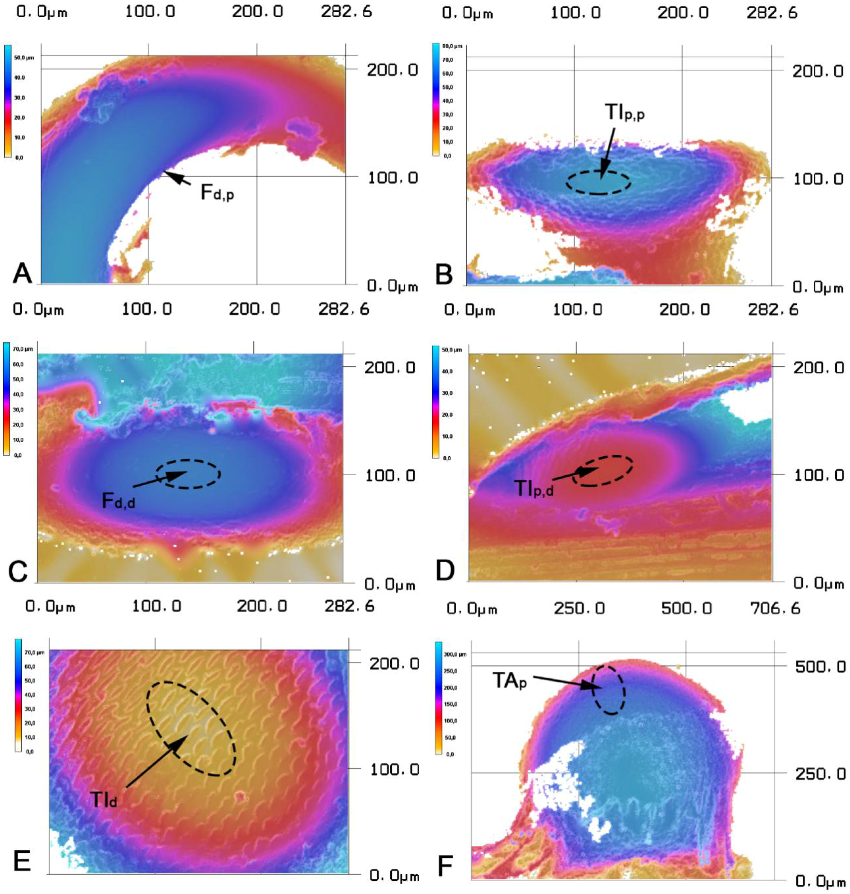 Biomimetics 03 00012 g003