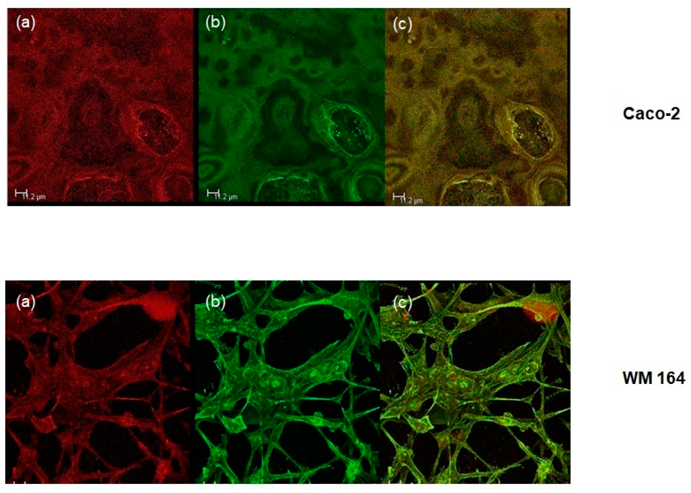 Biomimetics 03 00013 g004