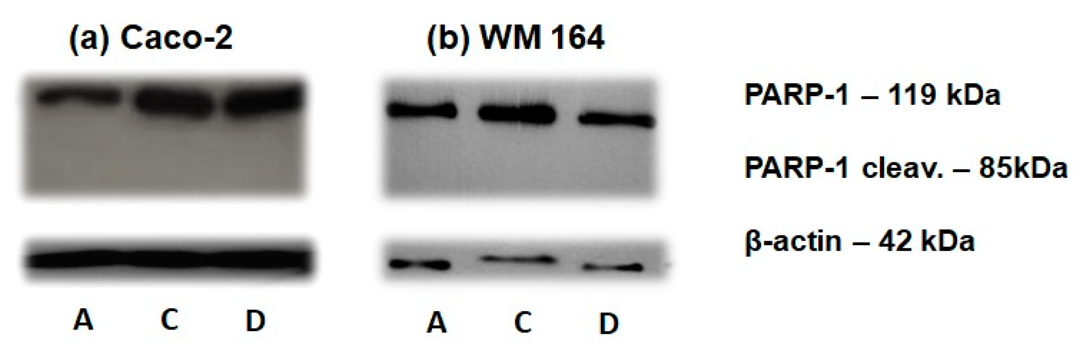 Biomimetics 03 00013 g008