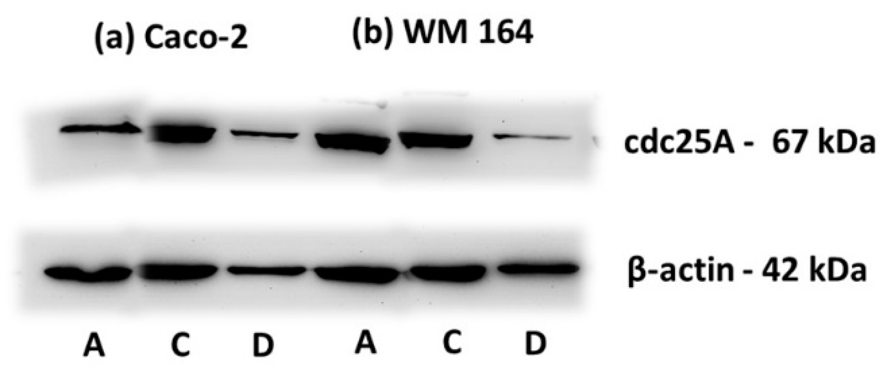 Biomimetics 03 00013 g009