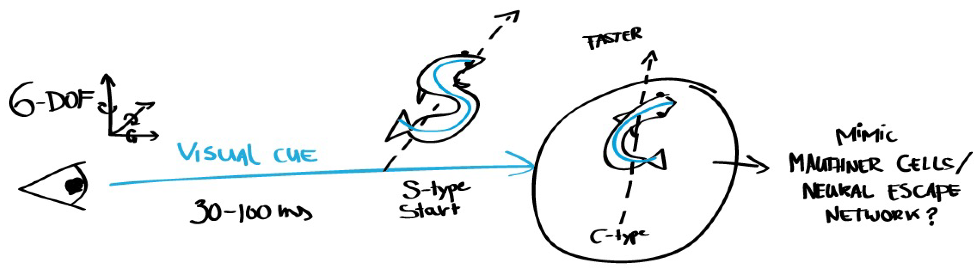 Biomimetics 03 00014 g006