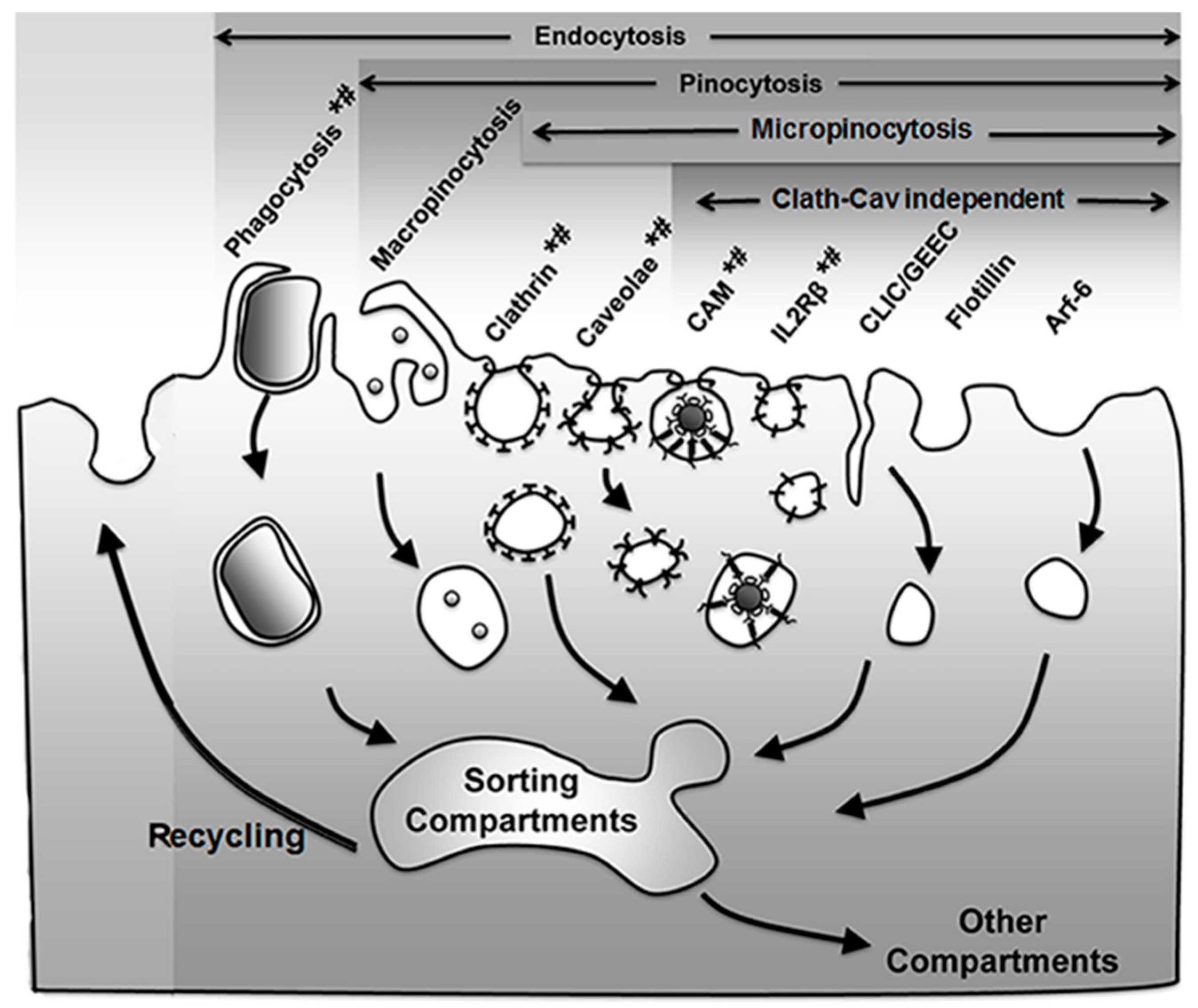 Biomimetics 03 00019 g001