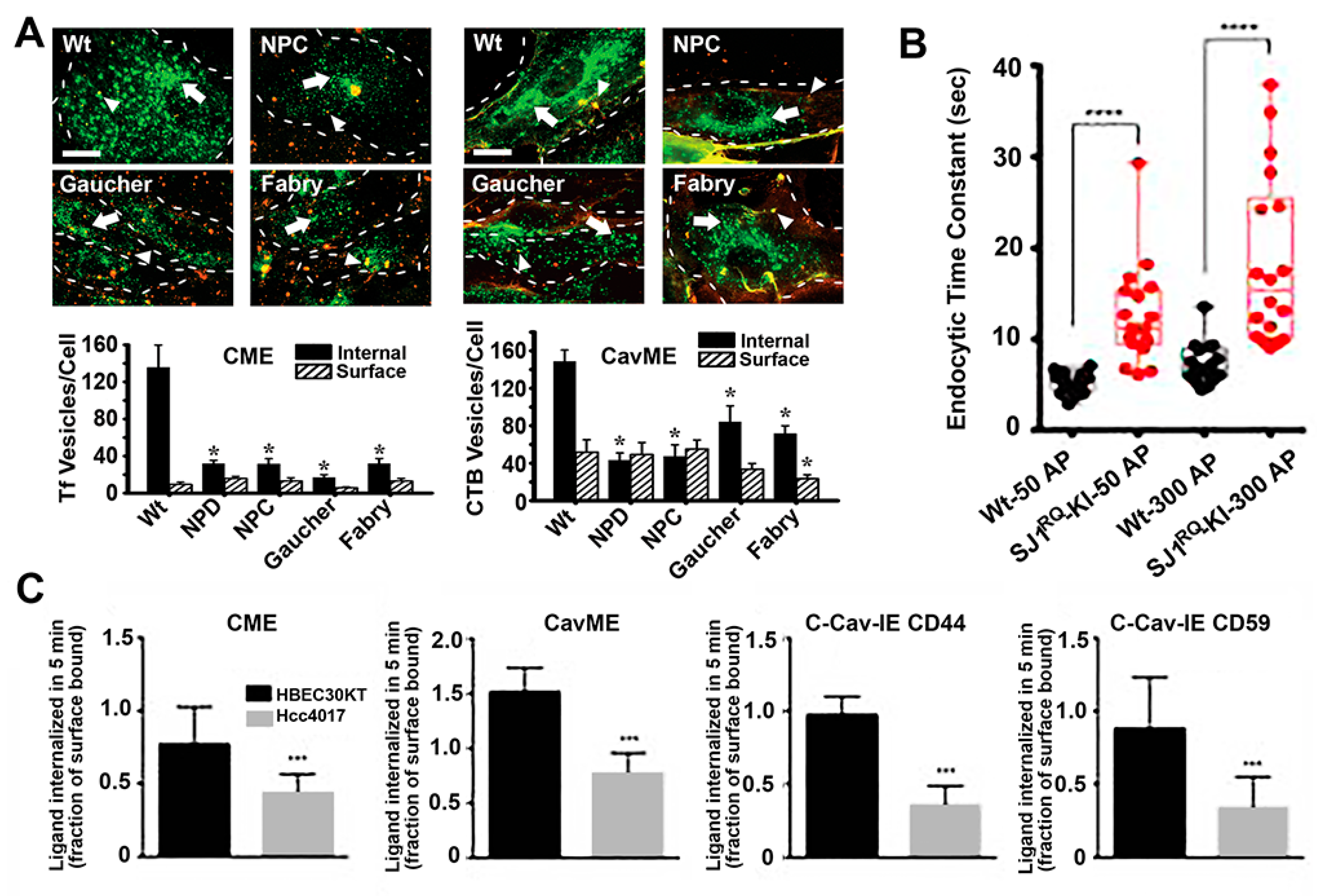 Biomimetics 03 00019 g003