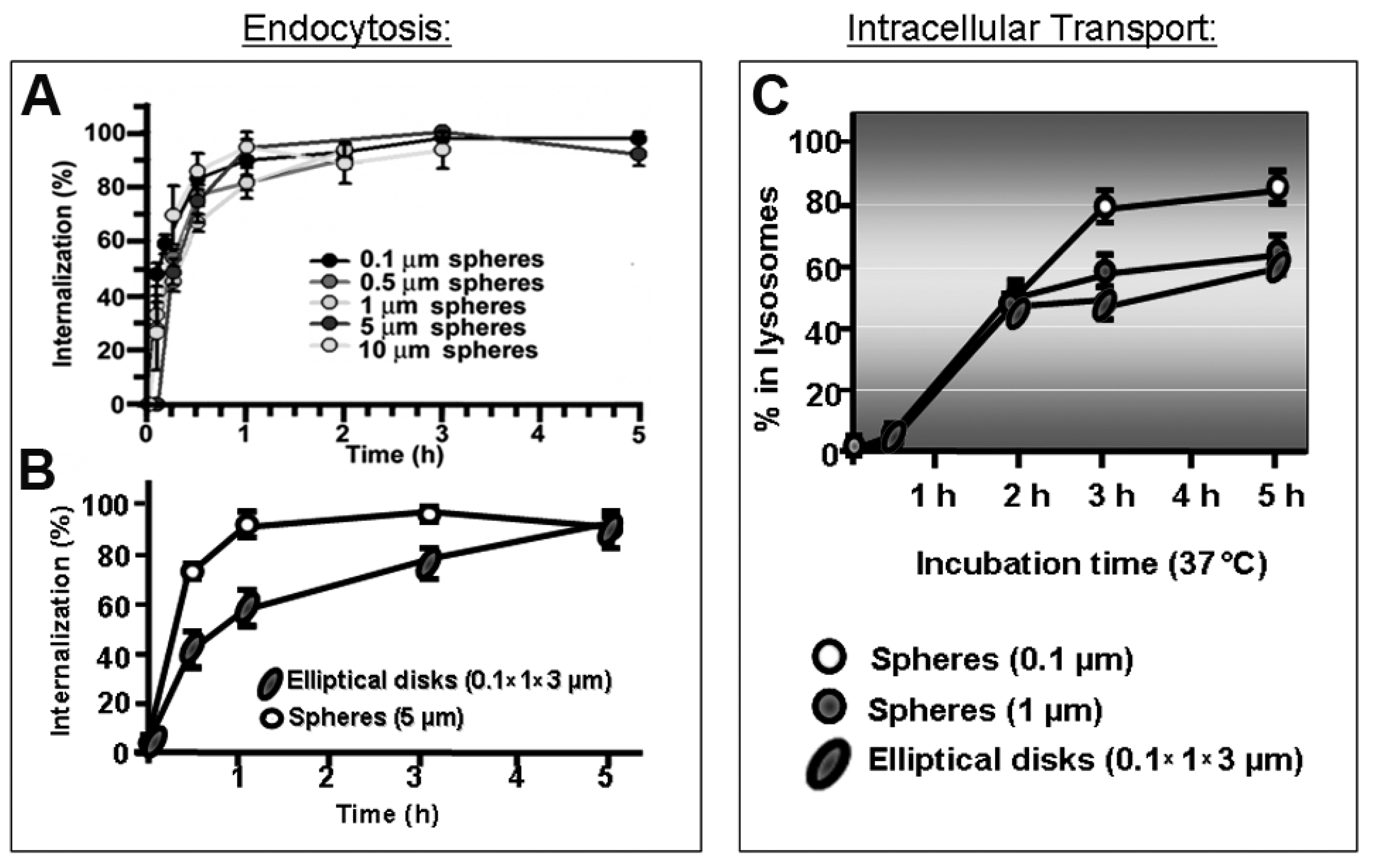 Biomimetics 03 00019 g005