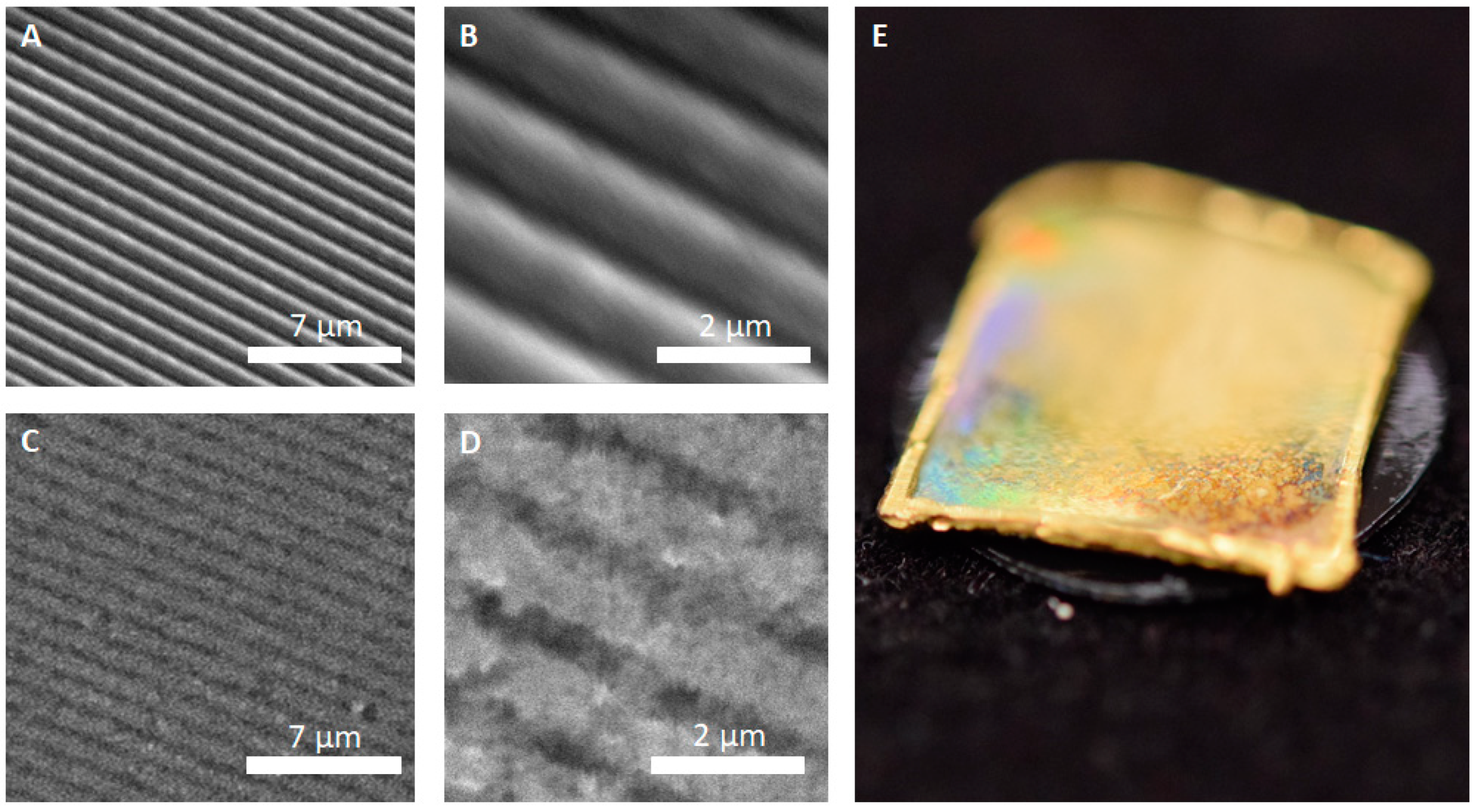 Biomimetics 03 00031 g002