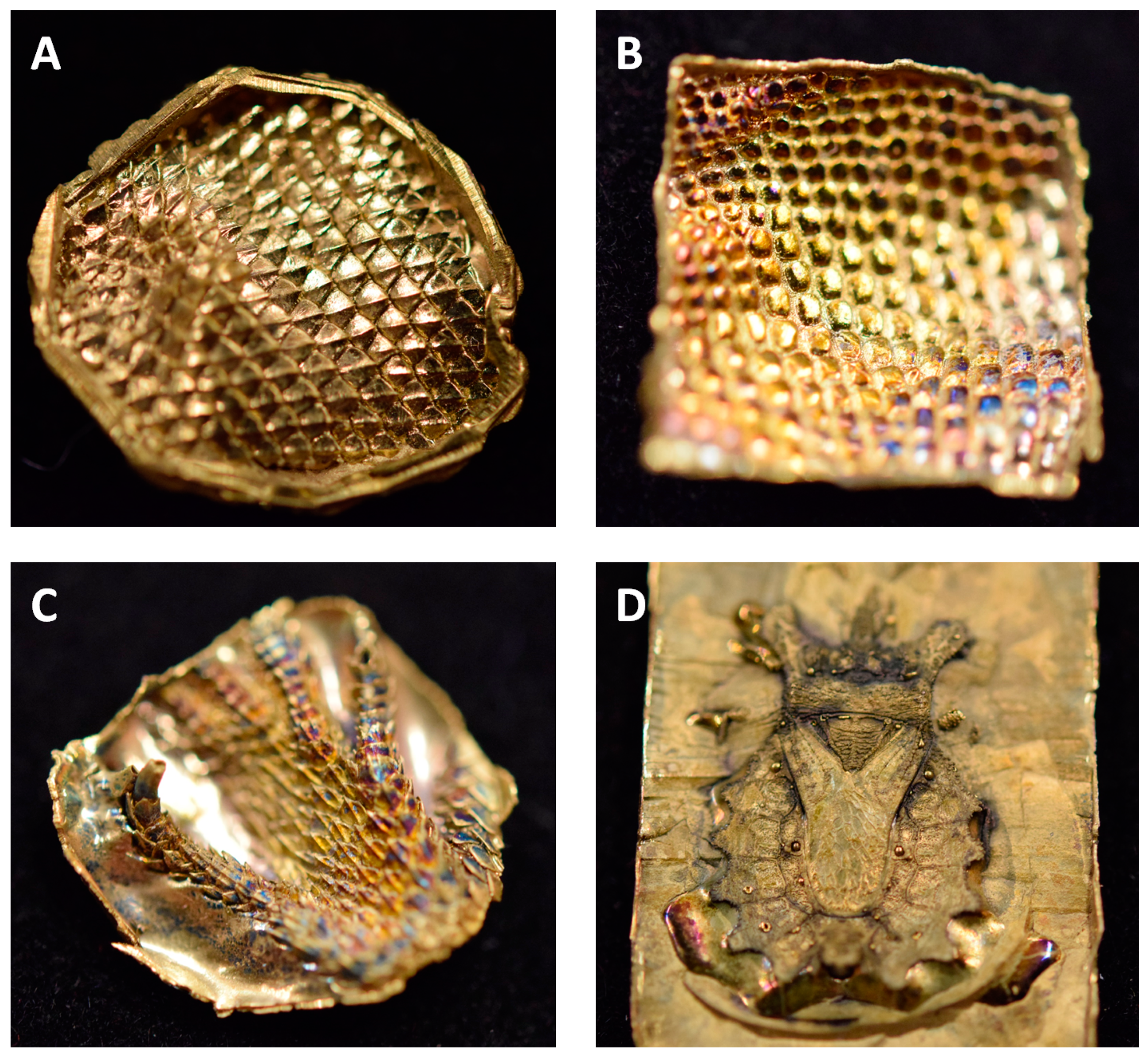 Biomimetics 03 00031 g003