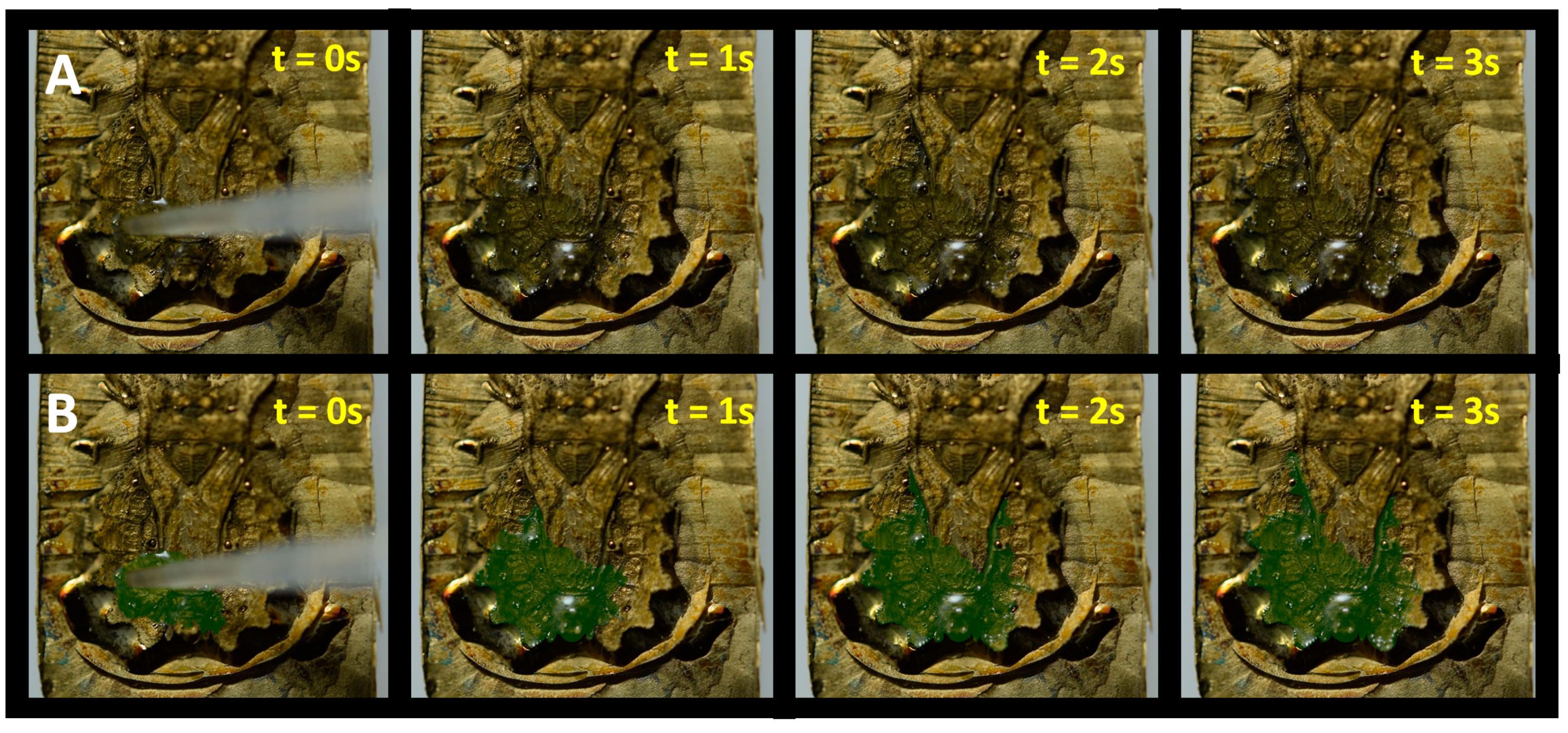 Biomimetics 03 00031 g007