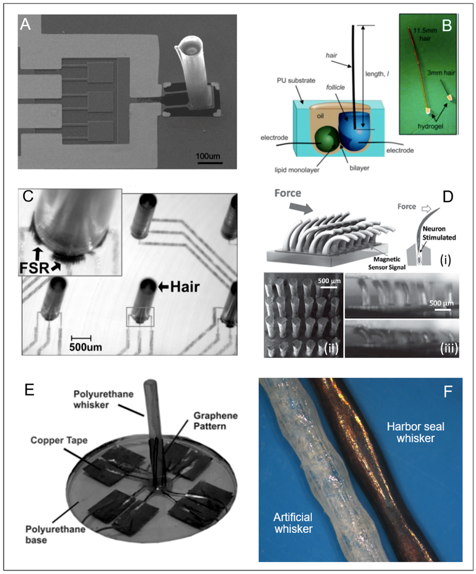 Biomimetics 03 00032 g005