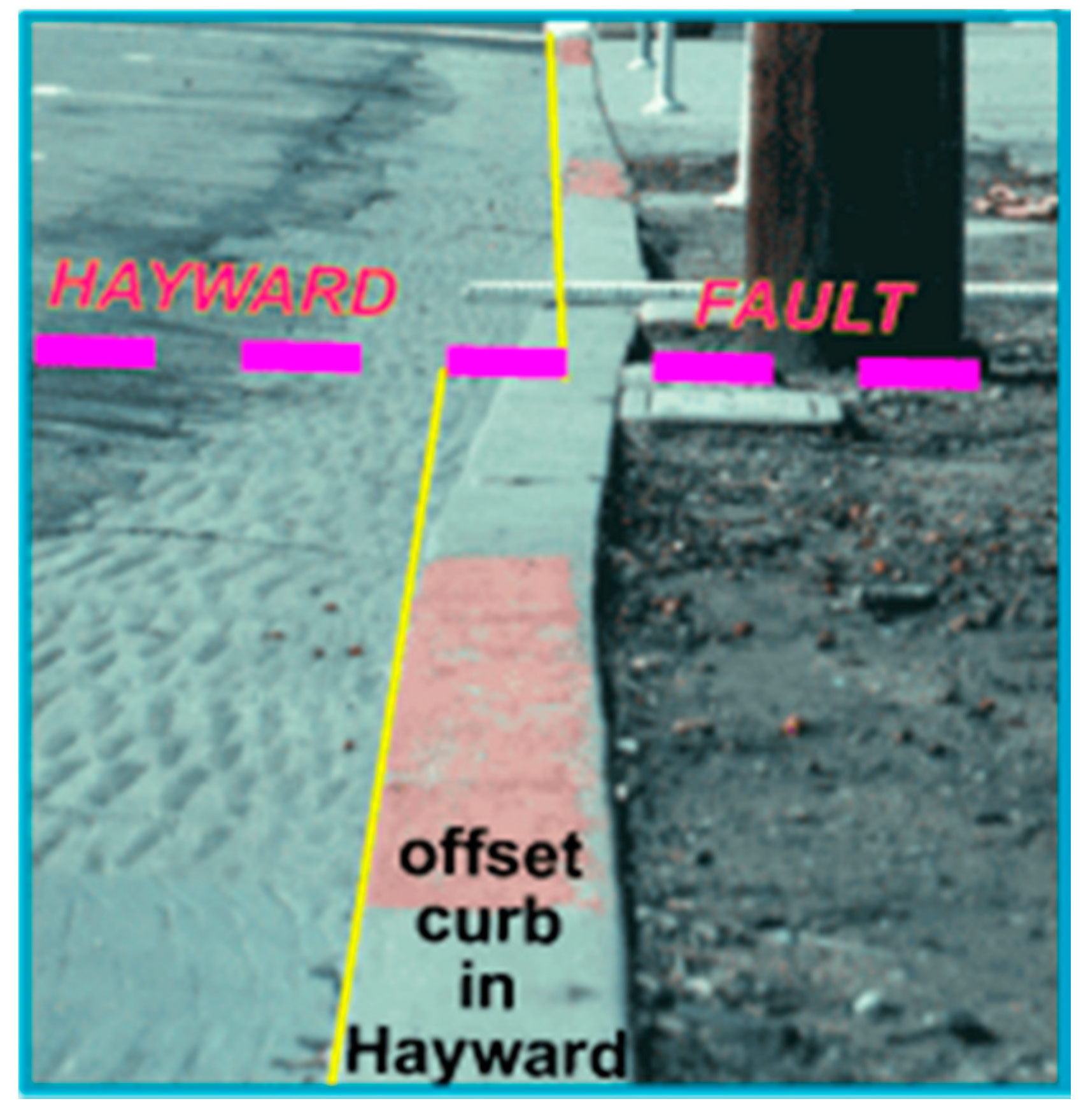 Biomimetics 03 00034 g001