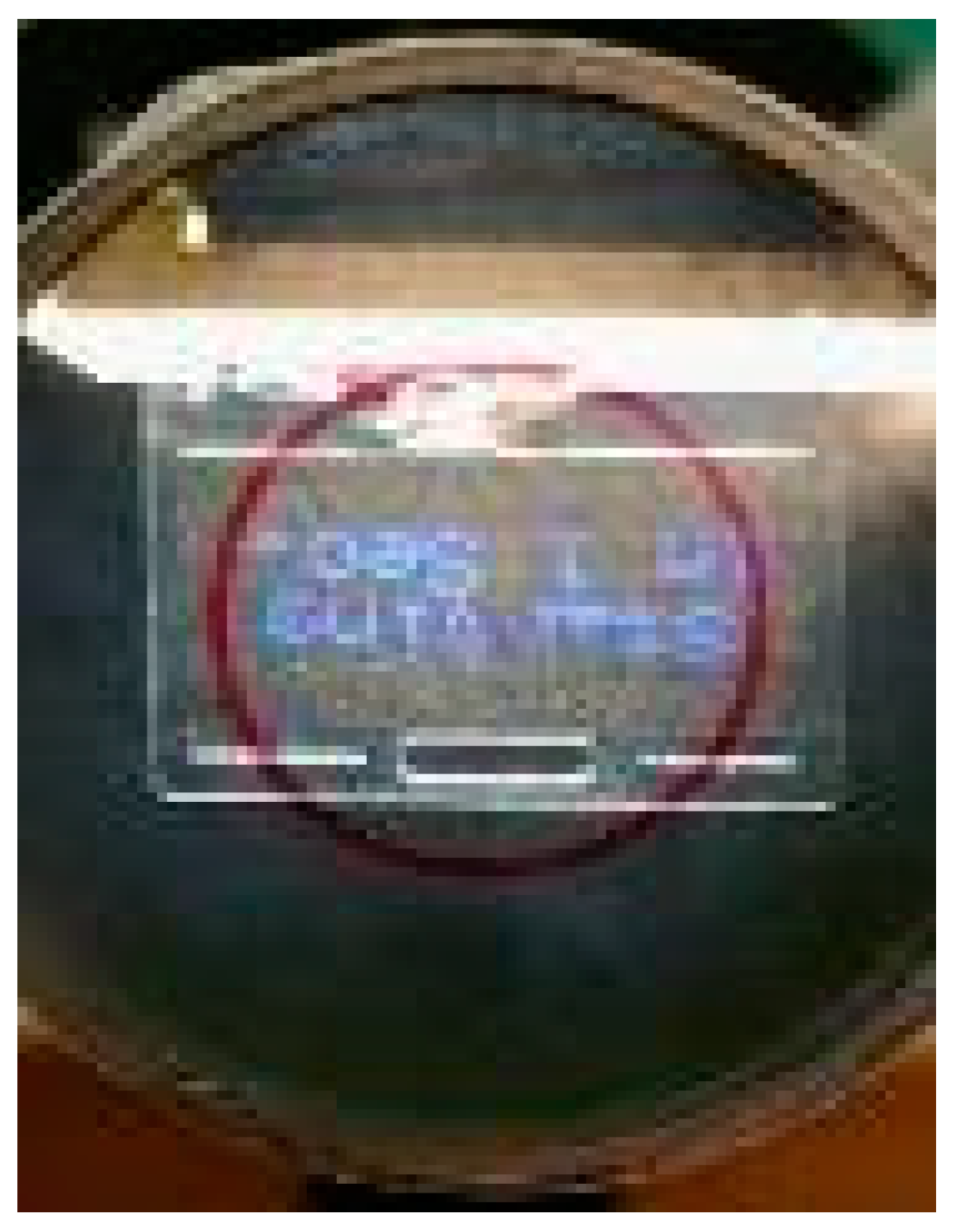 Biomimetics 03 00034 g010