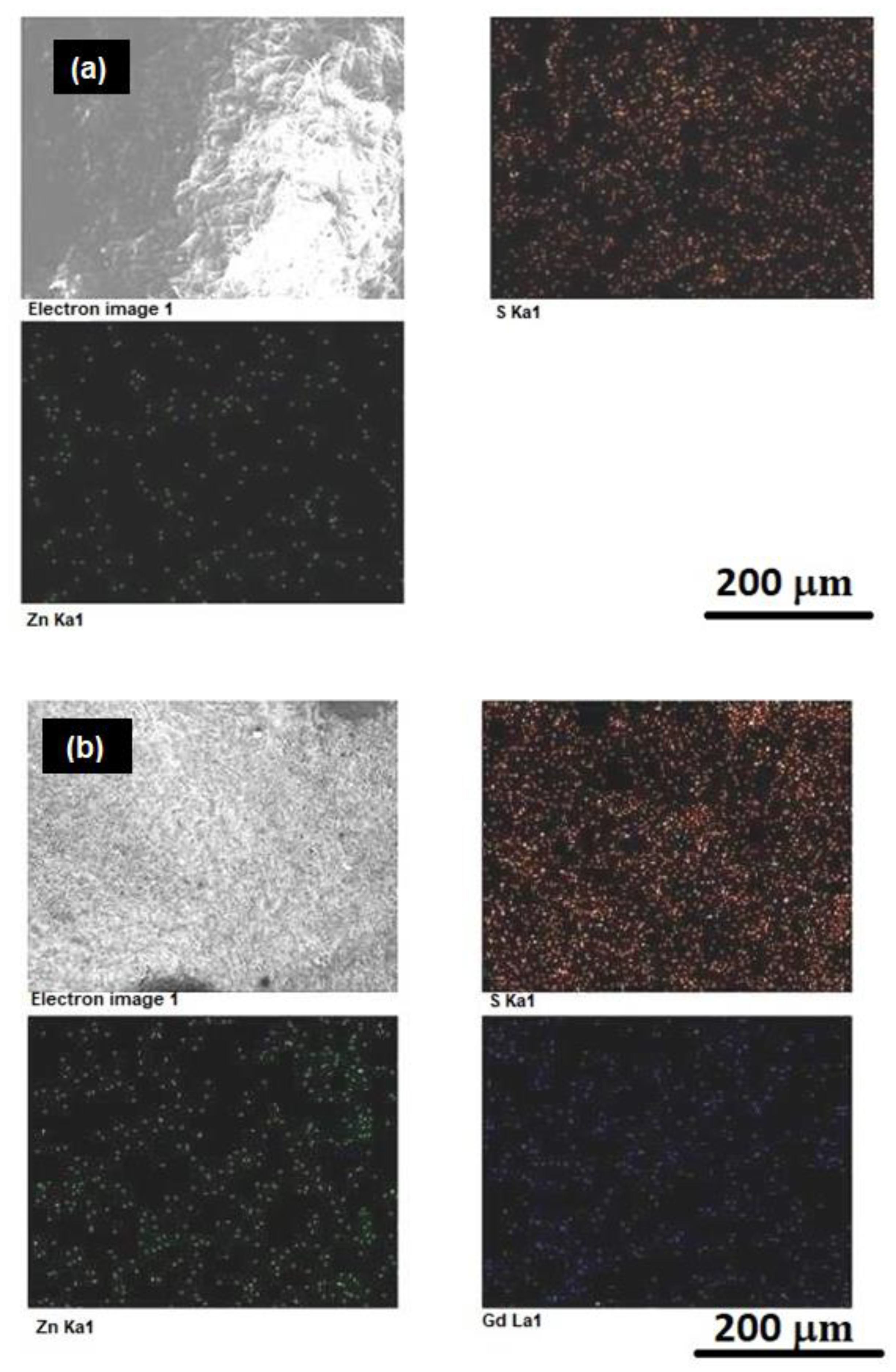 Biomimetics 04 00011 g001