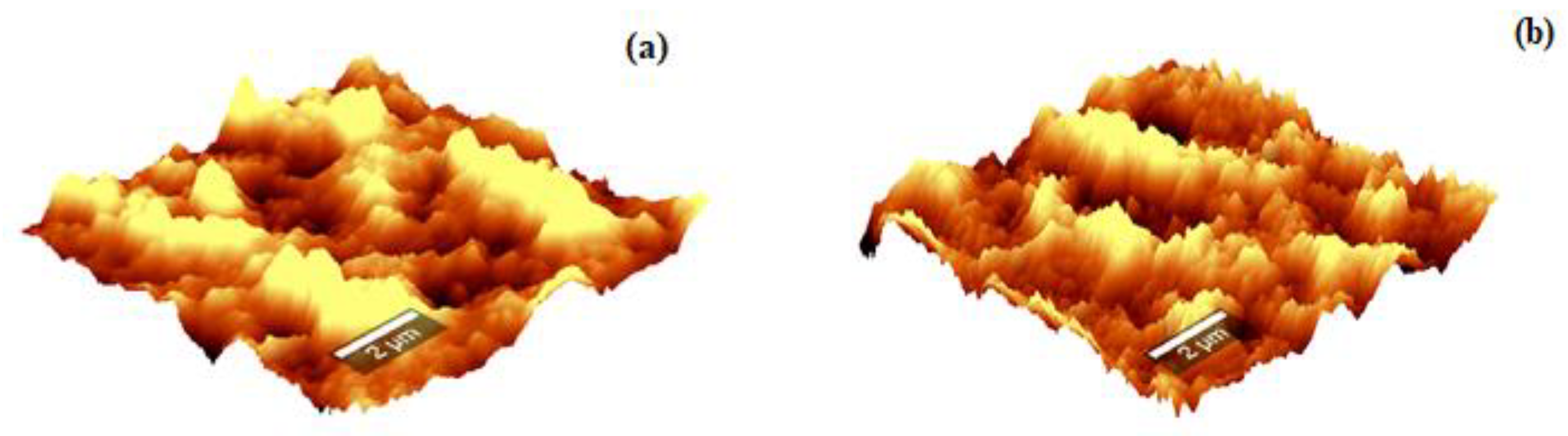 Biomimetics 04 00011 g002