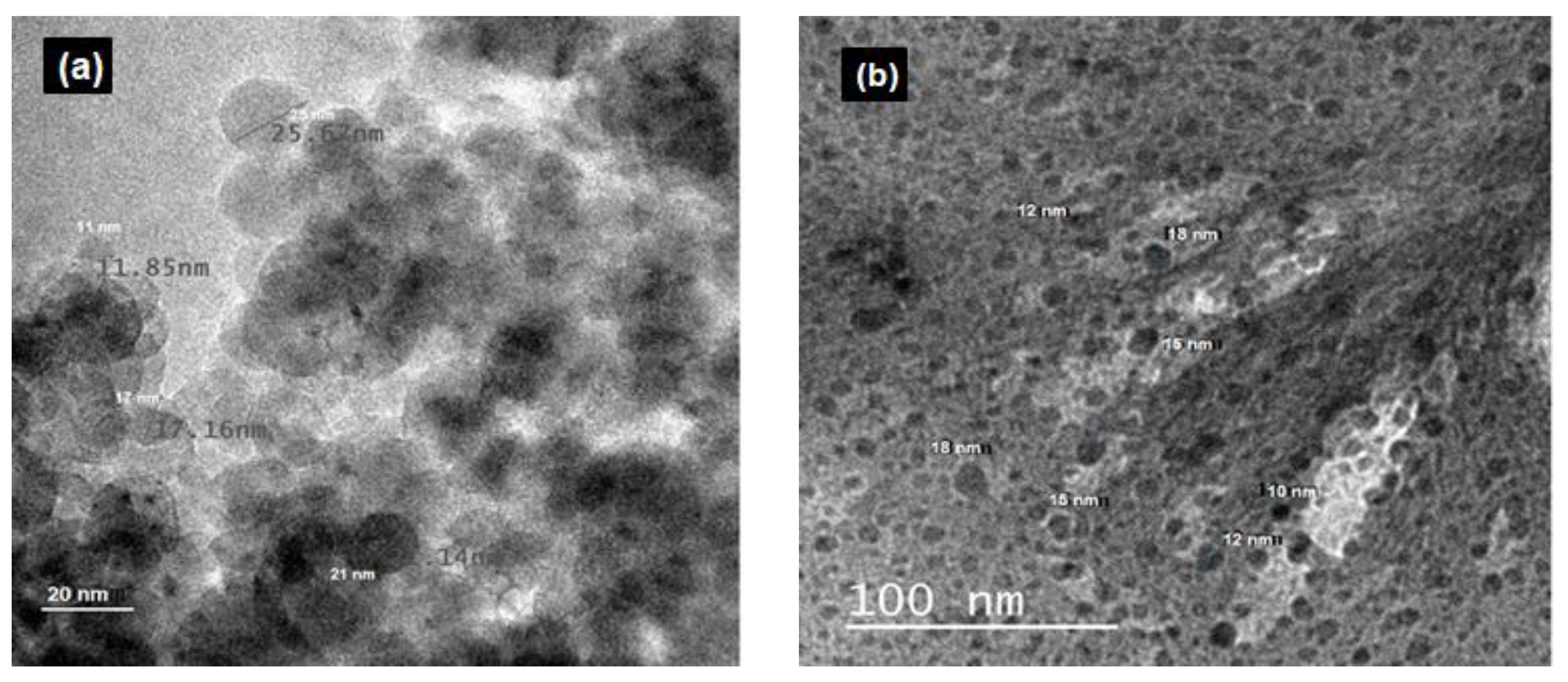 Biomimetics 04 00011 g006