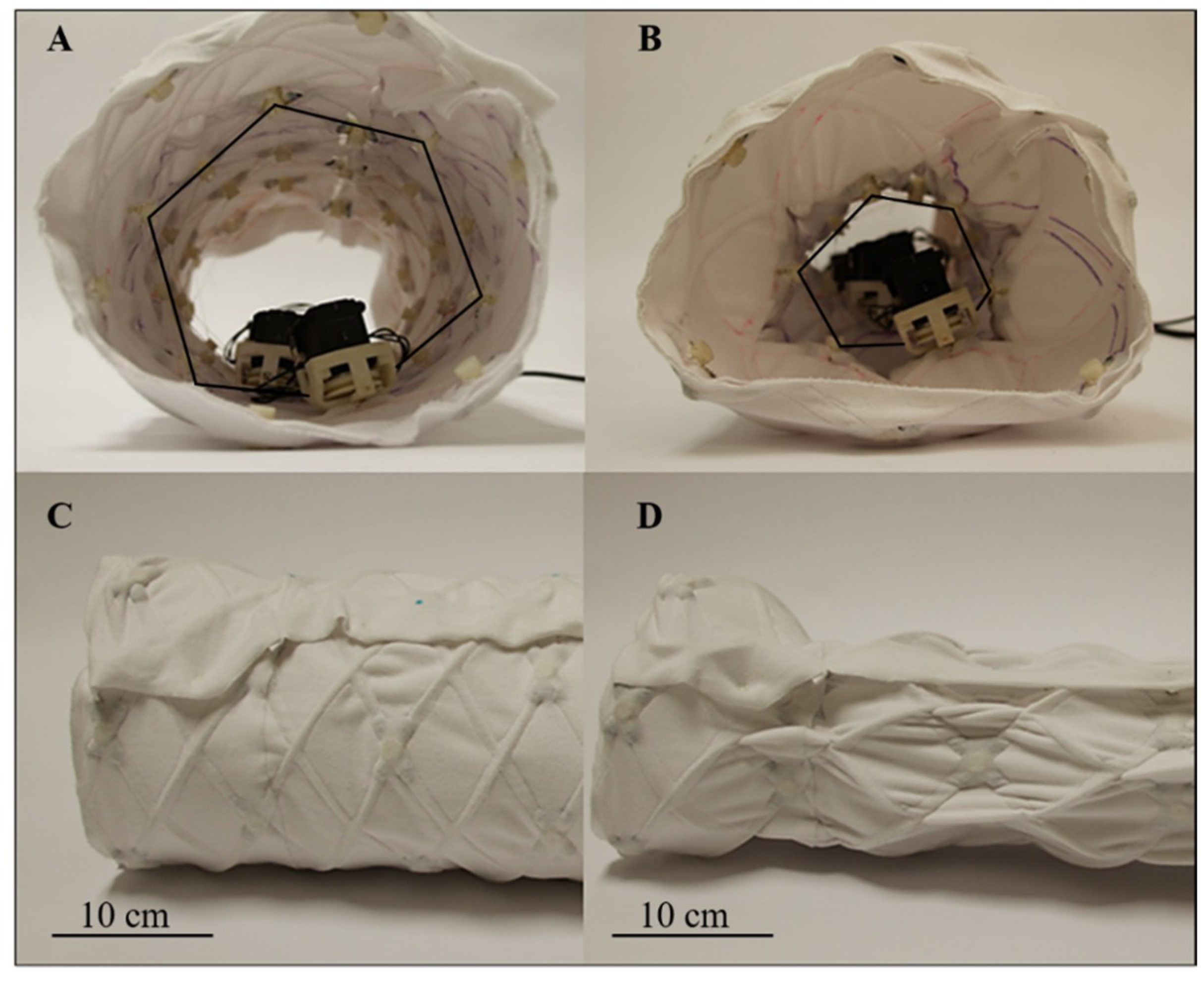 Biomimetics 04 00013 g005