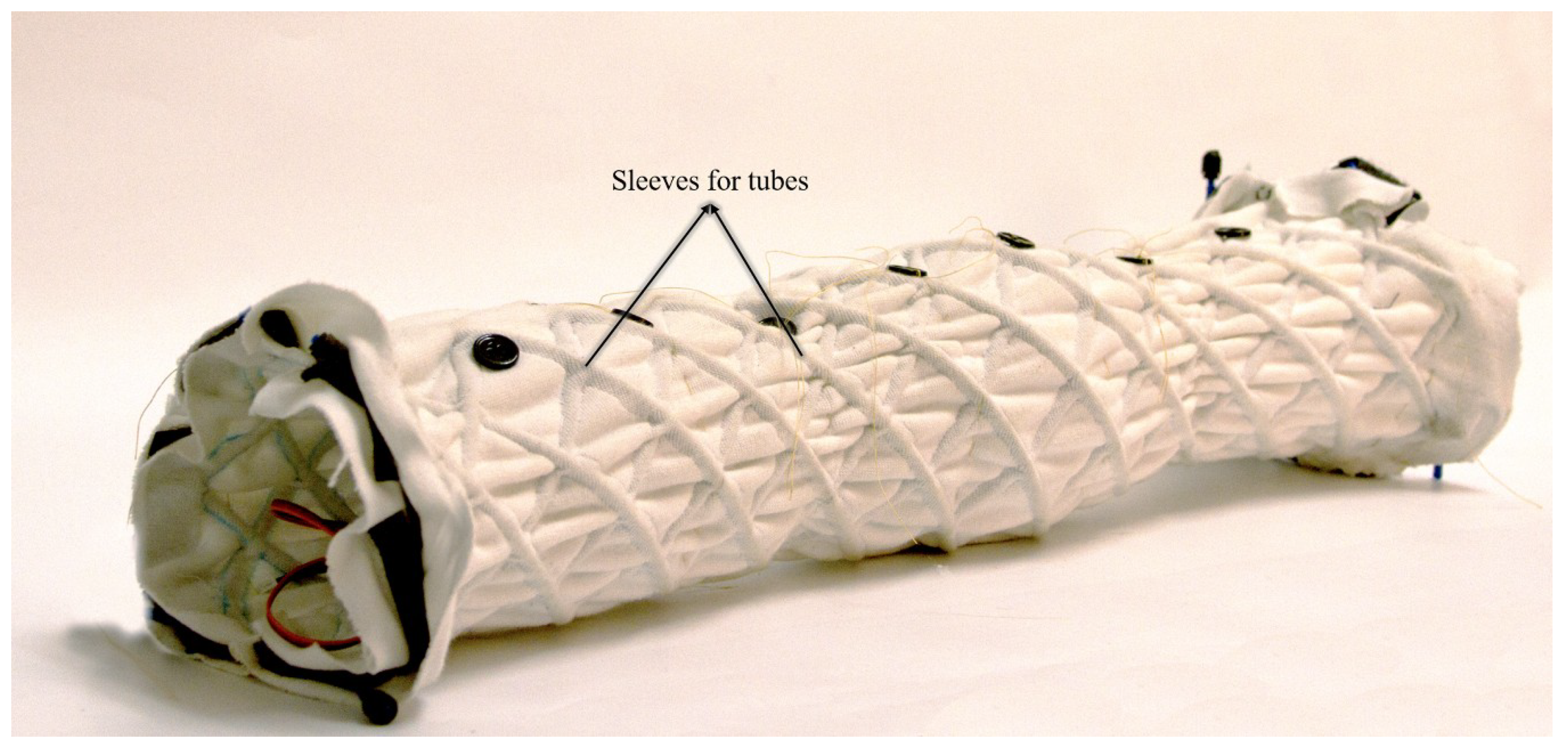 Biomimetics 04 00013 g006