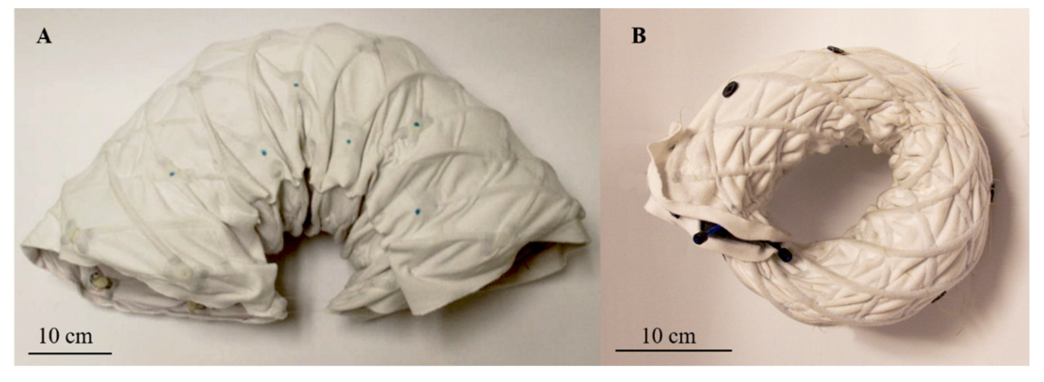 Biomimetics 04 00013 g010