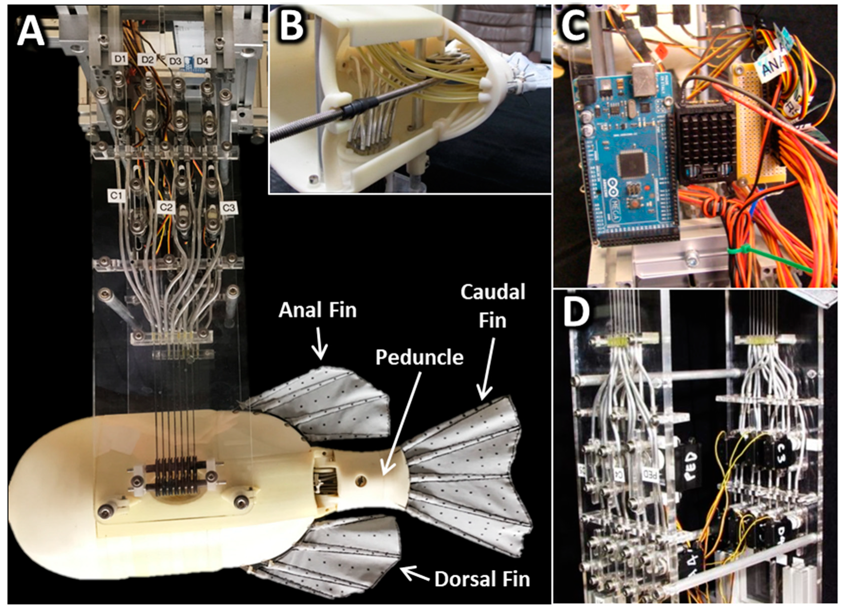 Biomimetics 04 00023 g001