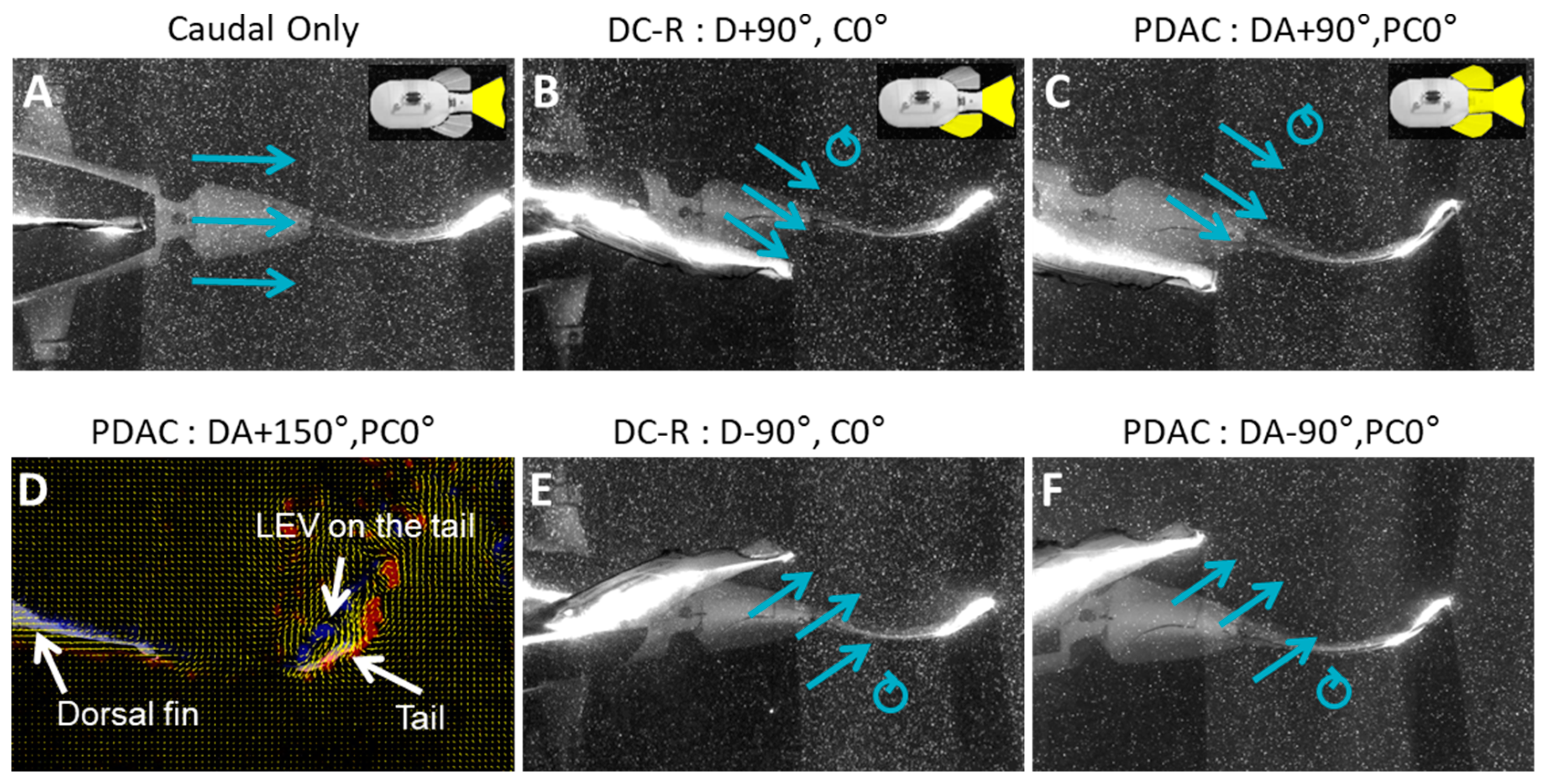 Biomimetics 04 00023 g008