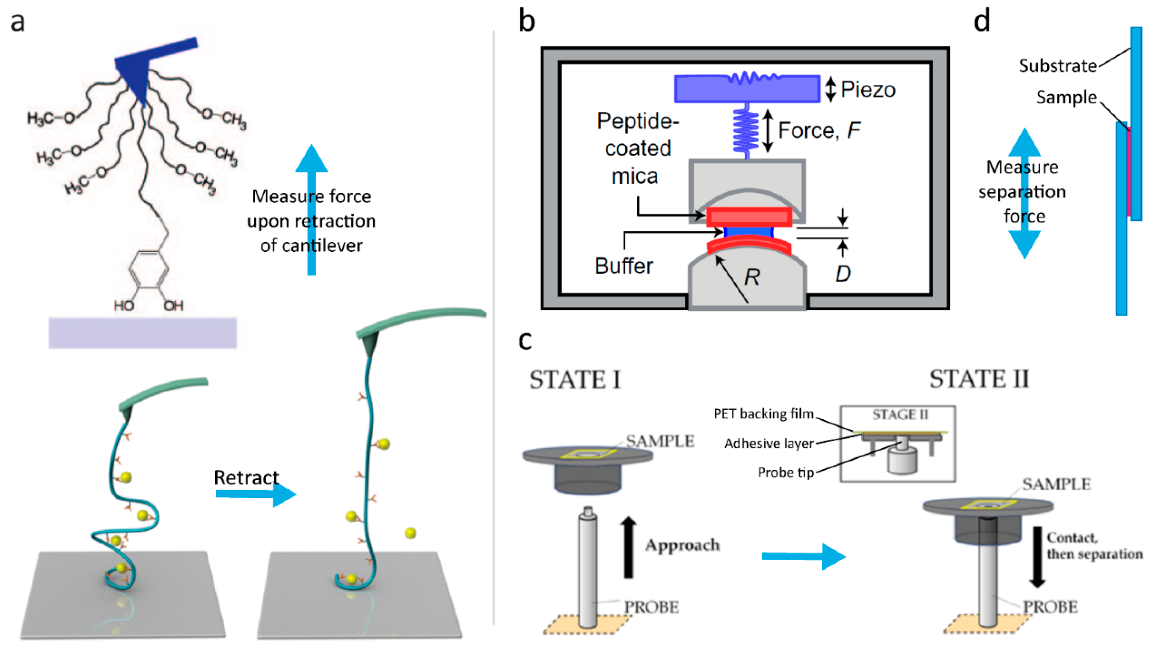 Biomimetics 04 00030 g003