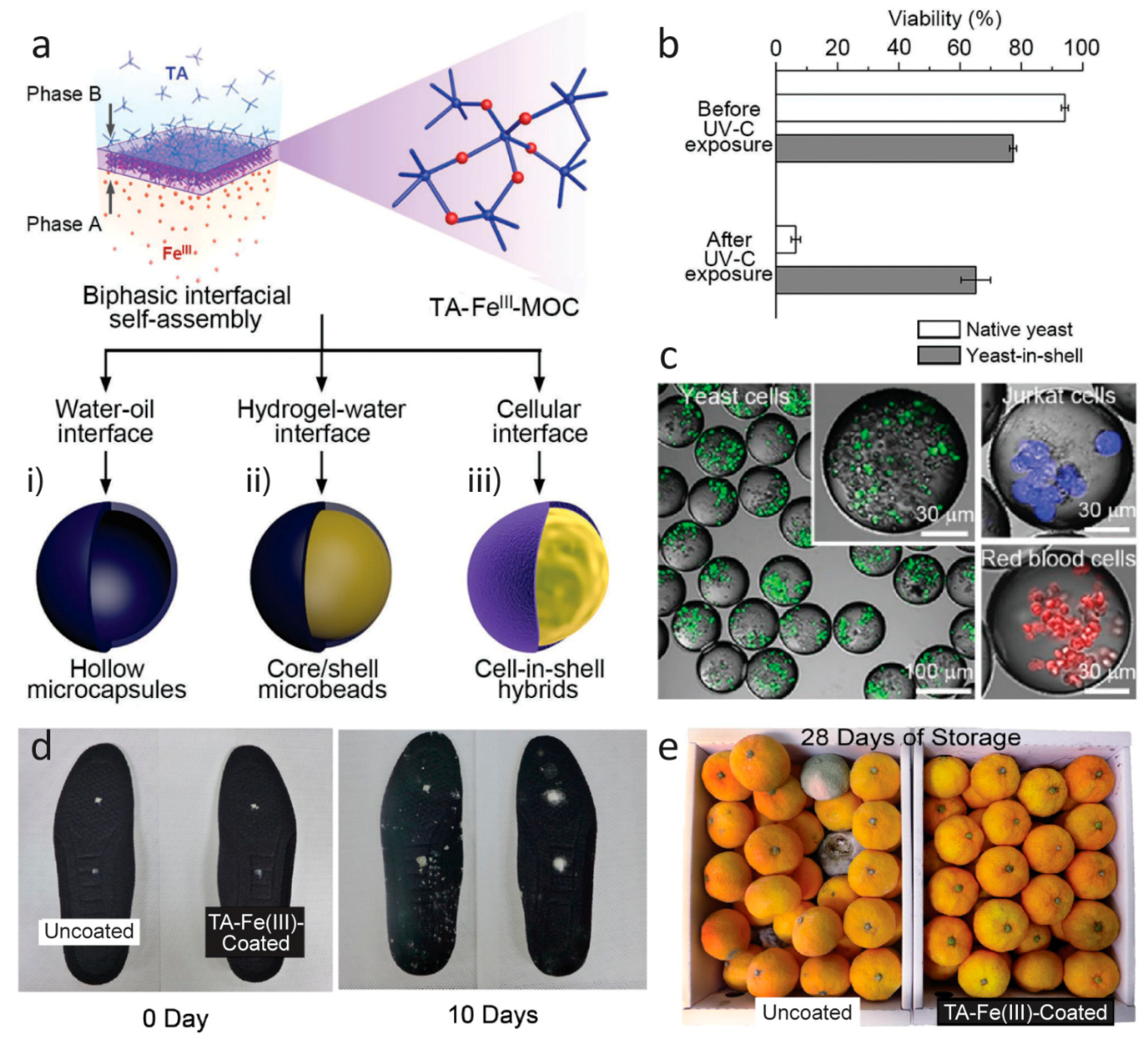 Biomimetics 04 00030 g007
