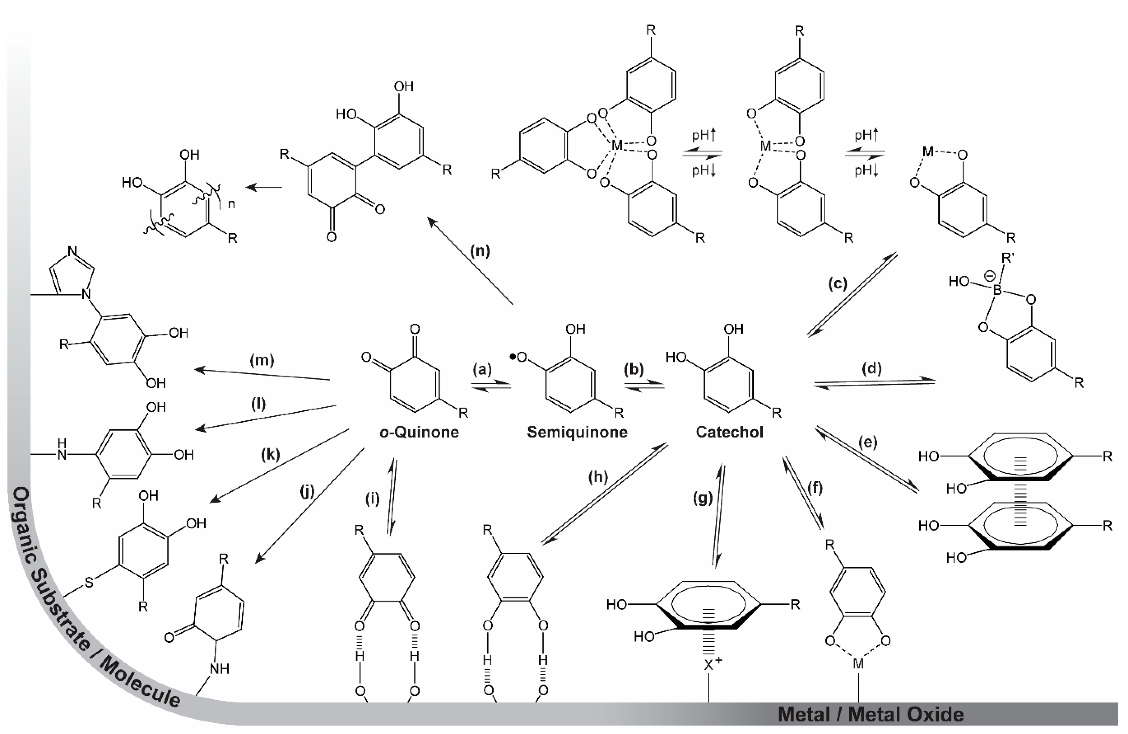 Biomimetics 04 00030 sch001