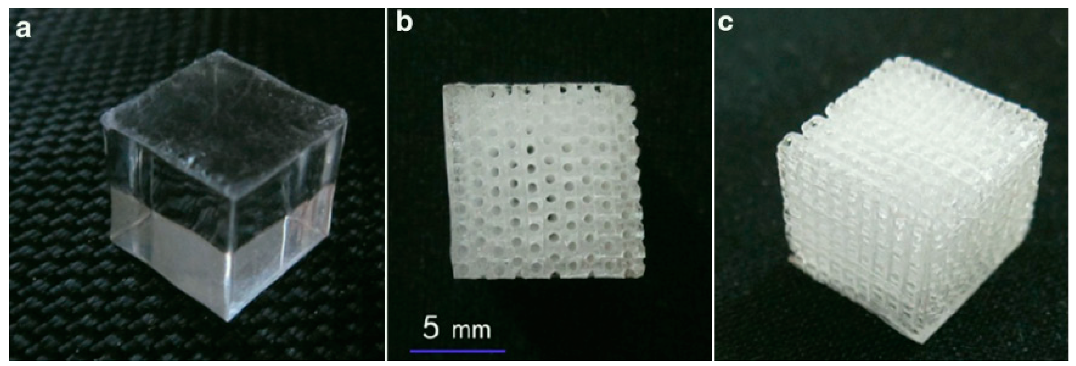 Biomimetics 04 00031 g004