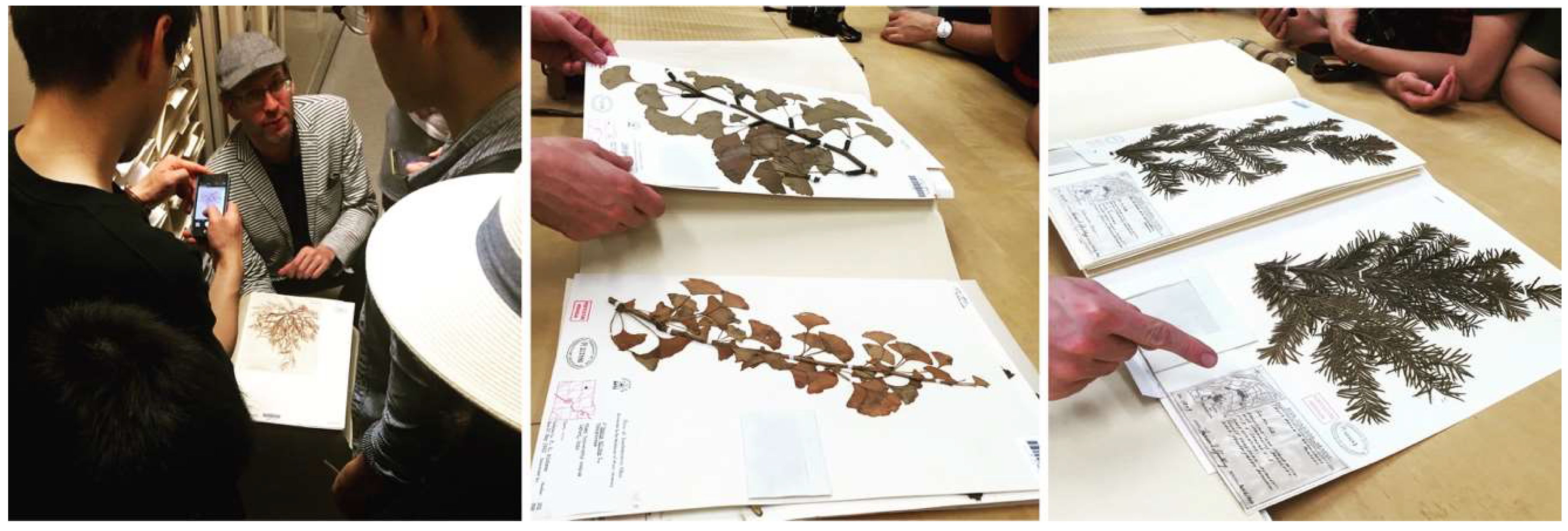 Biomimetics 04 00034 g002