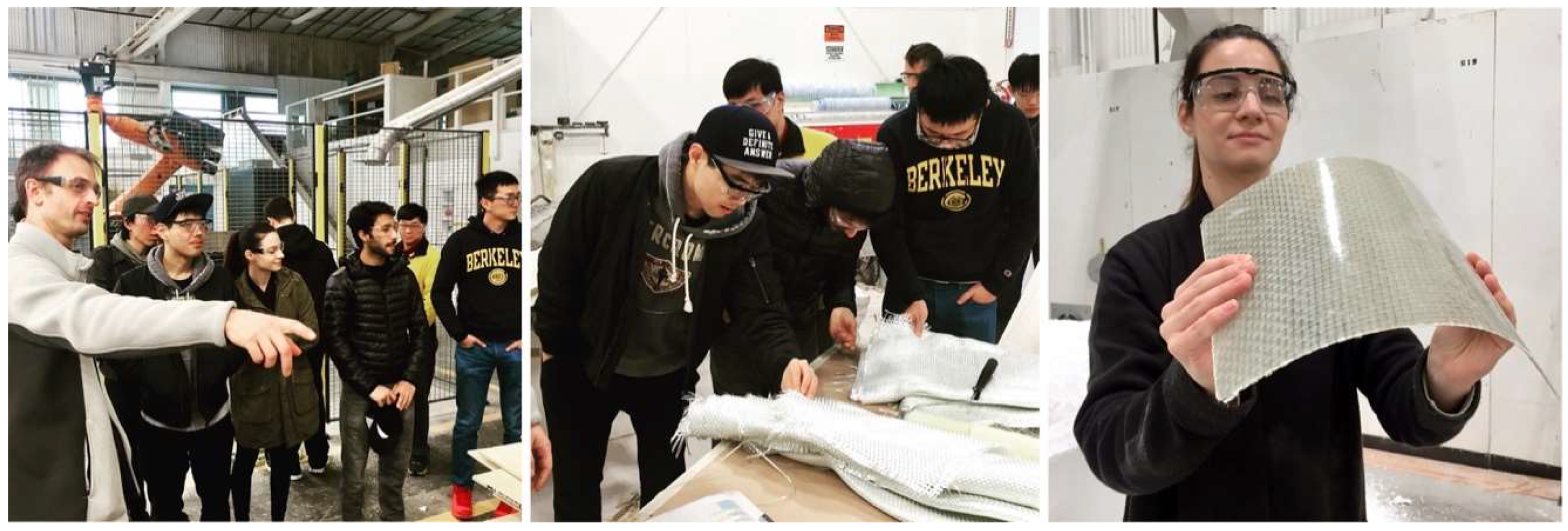 Biomimetics 04 00034 g004