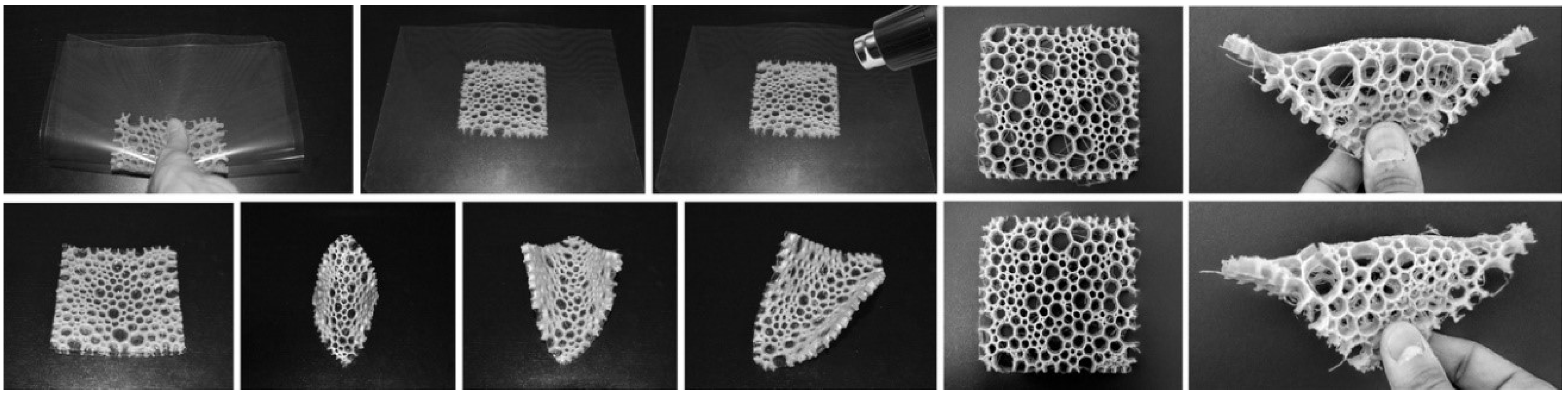 Biomimetics 04 00034 g007