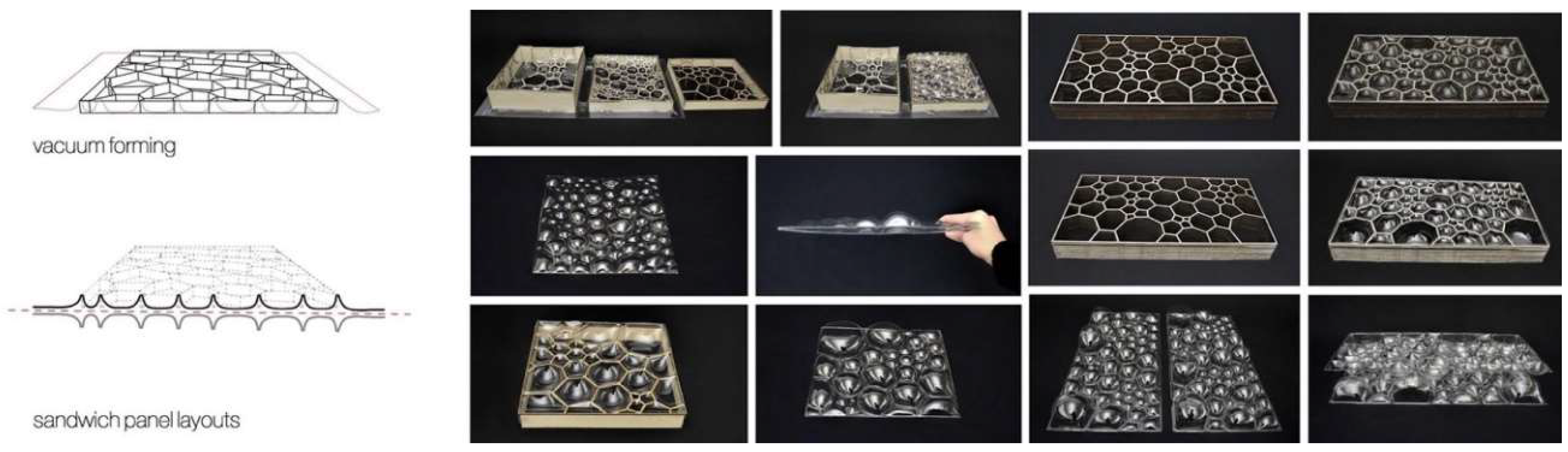 Biomimetics 04 00034 g008