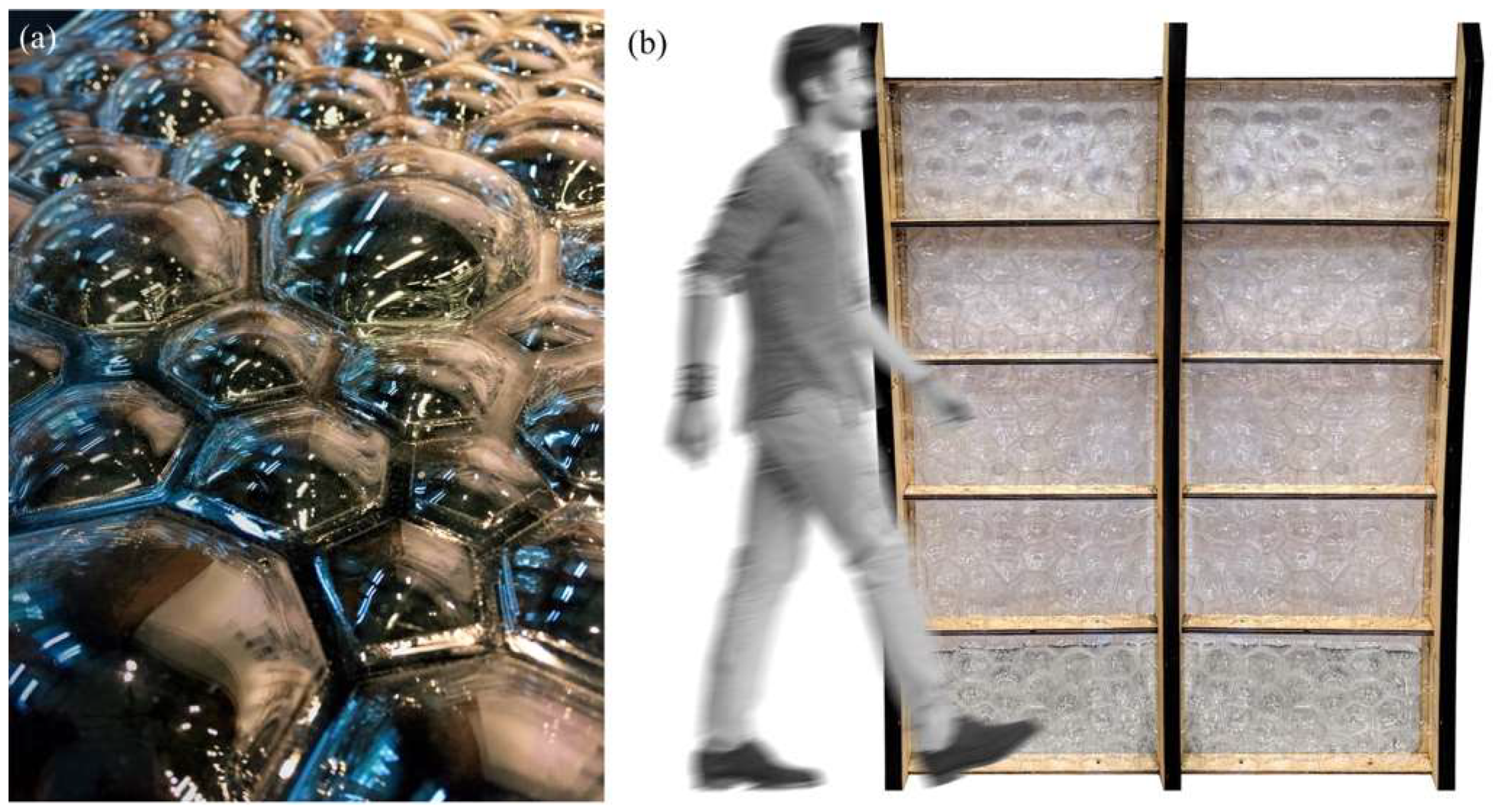 Biomimetics 04 00034 g009