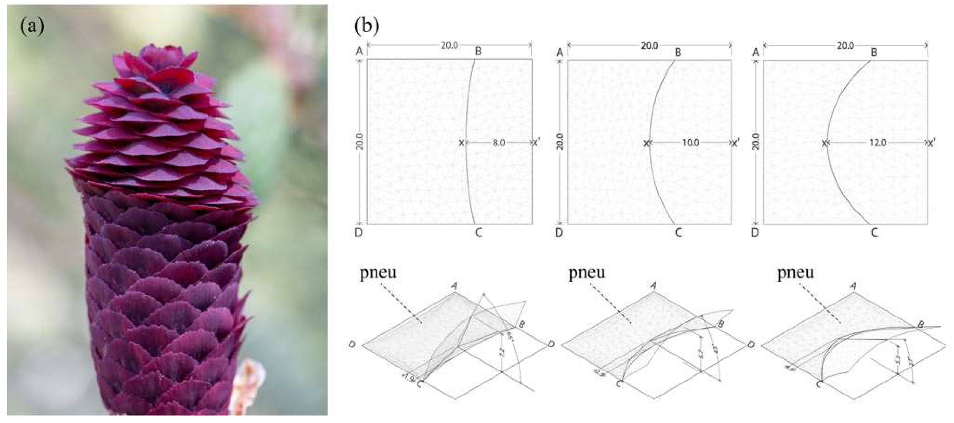 Biomimetics 04 00034 g010