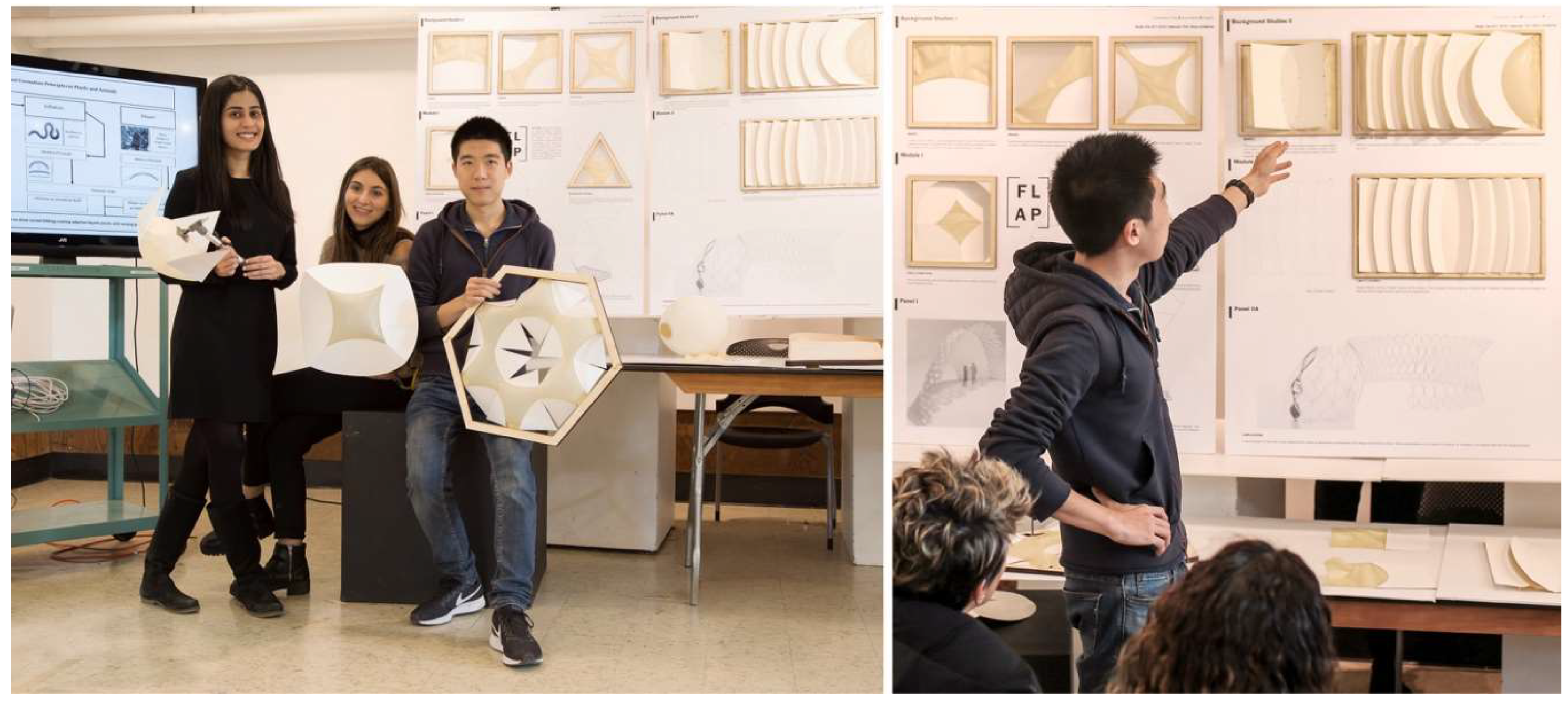 Biomimetics 04 00034 g012