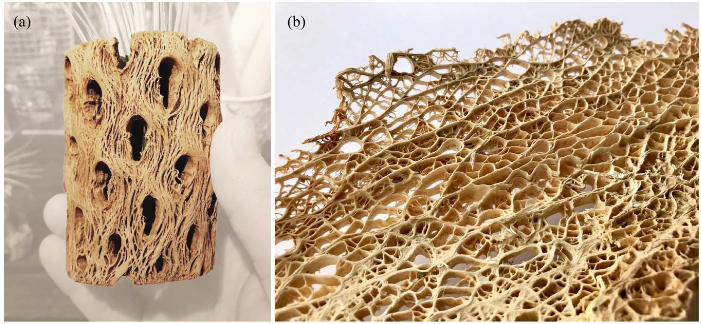 Biomimetics 04 00034 g020