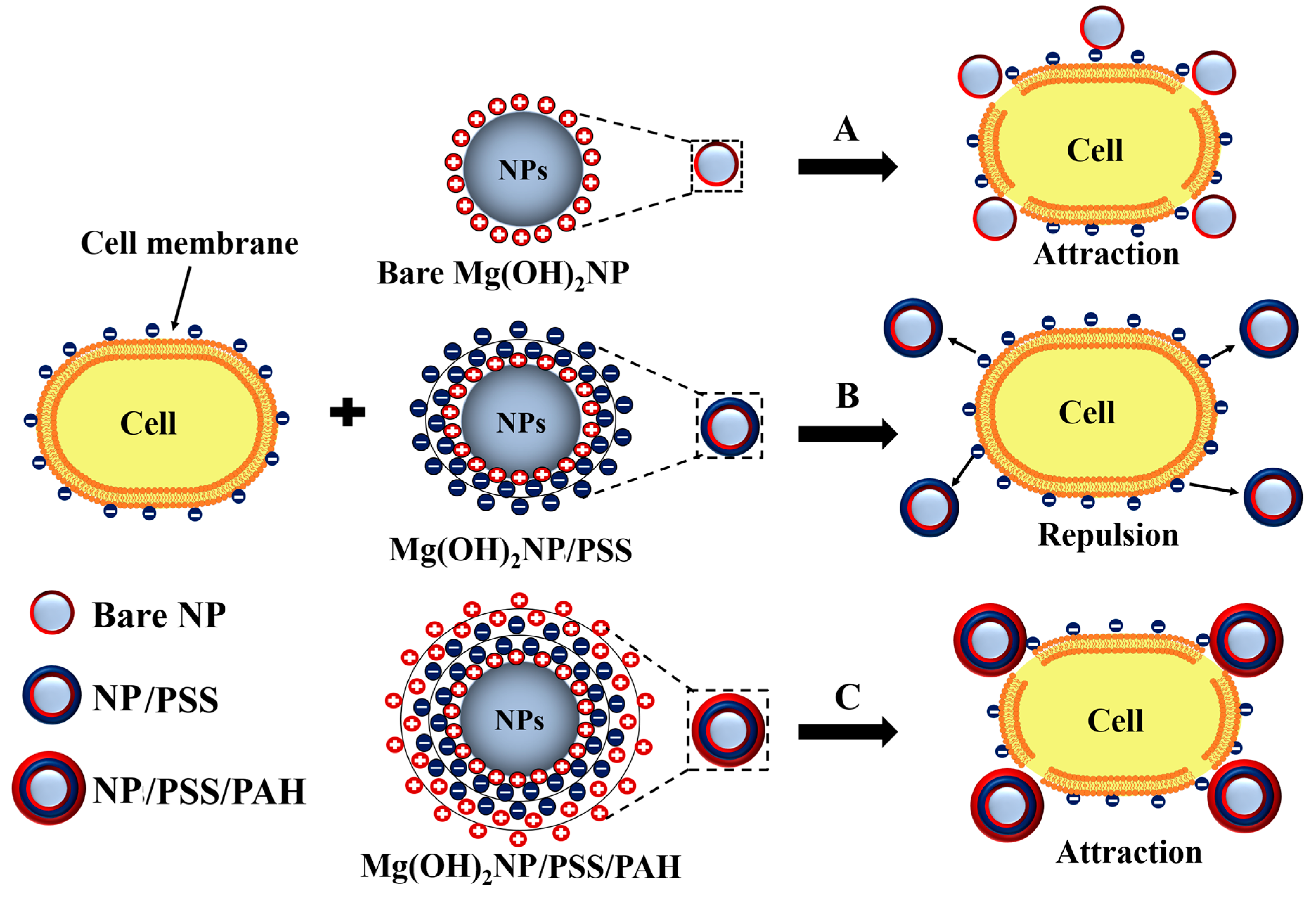 Biomimetics 04 00041 g001