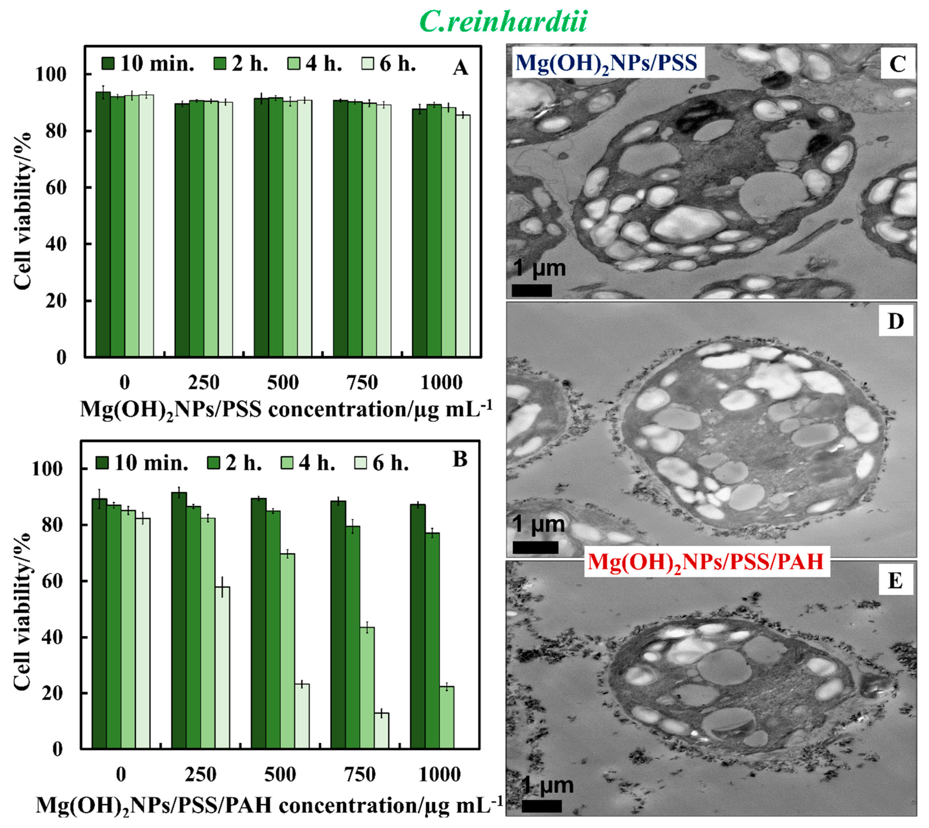 Biomimetics 04 00041 g010