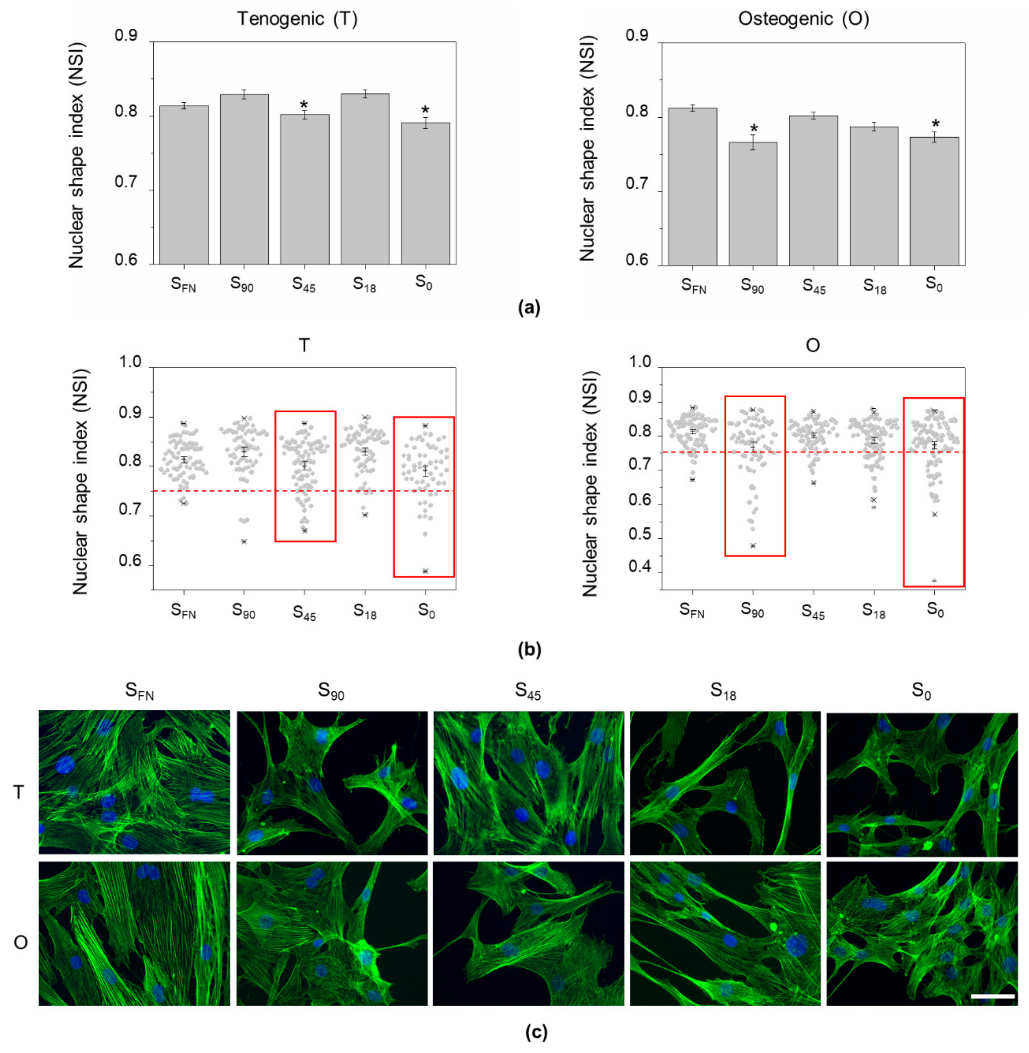 Biomimetics 04 00043 g001 Biomimetics 04 00043 g001