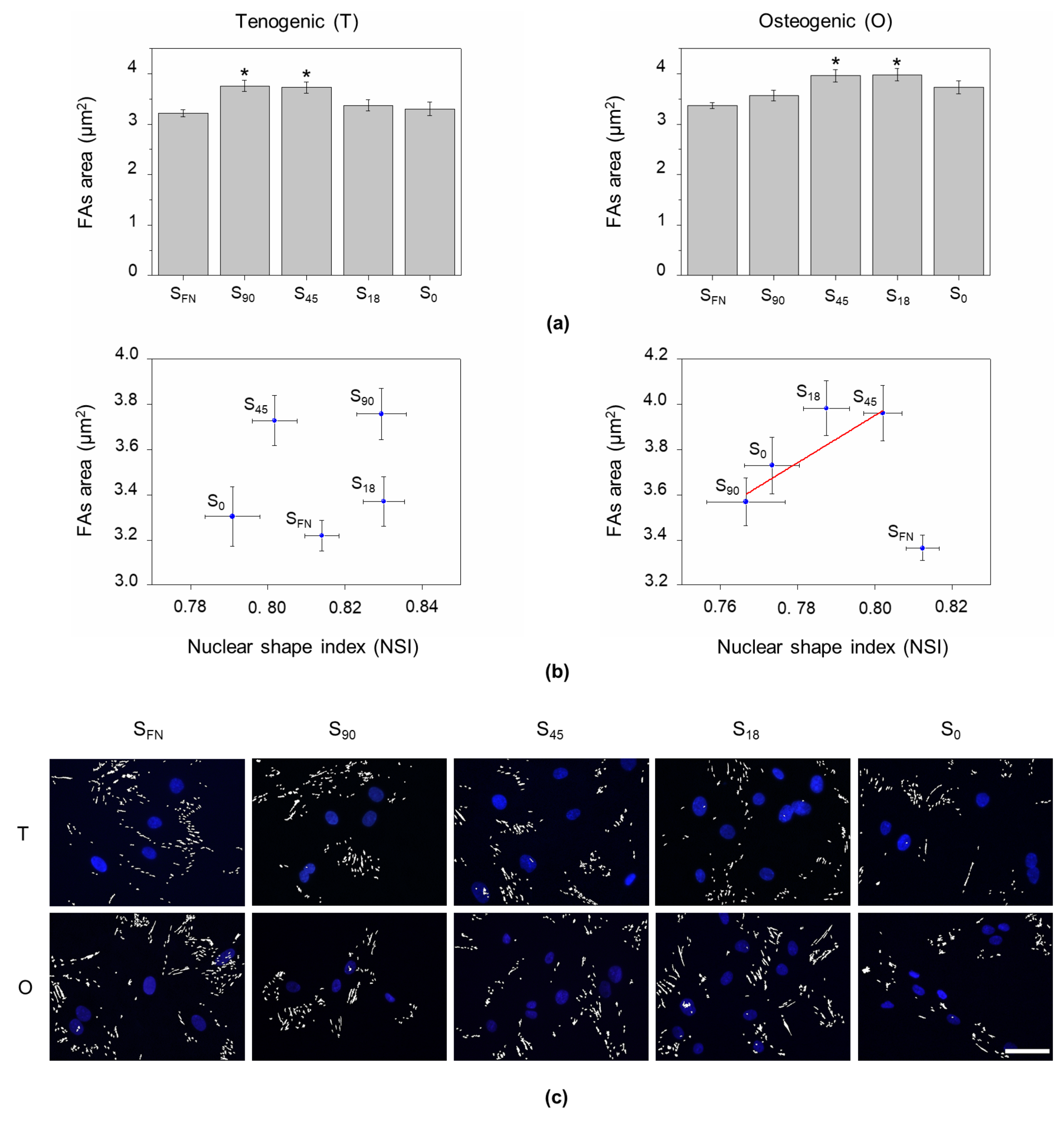 Biomimetics 04 00043 g002 Biomimetics 04 00043 g002