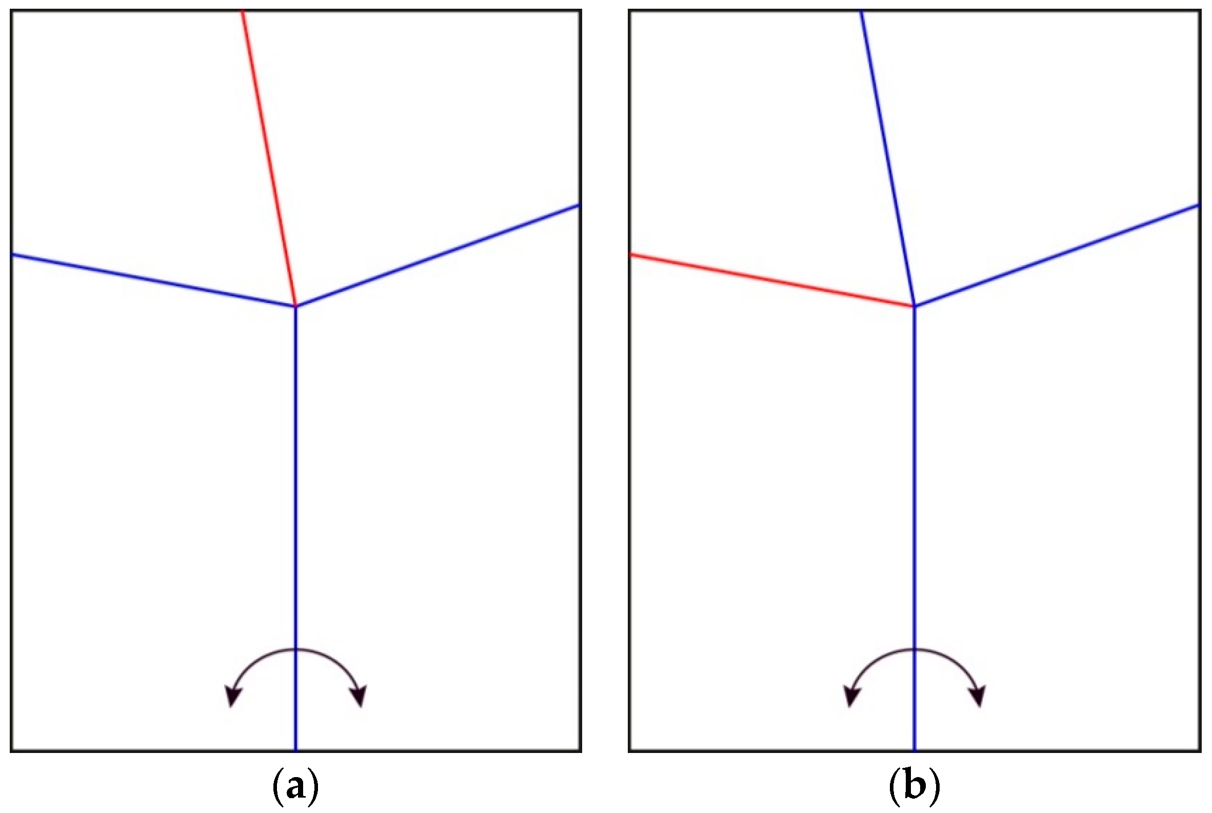 Biomimetics 04 00045 g001 Biomimetics 04 00045 g001
