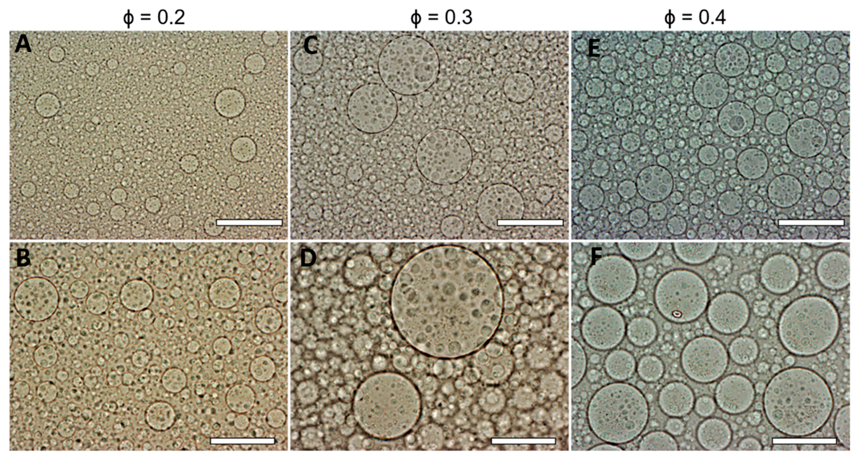 Biomimetics 04 00050 g003 Biomimetics 04 00050 g003