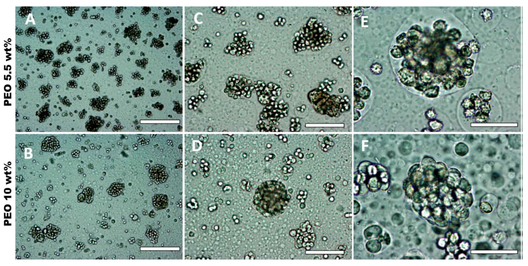 Biomimetics 04 00050 g005 Biomimetics 04 00050 g005