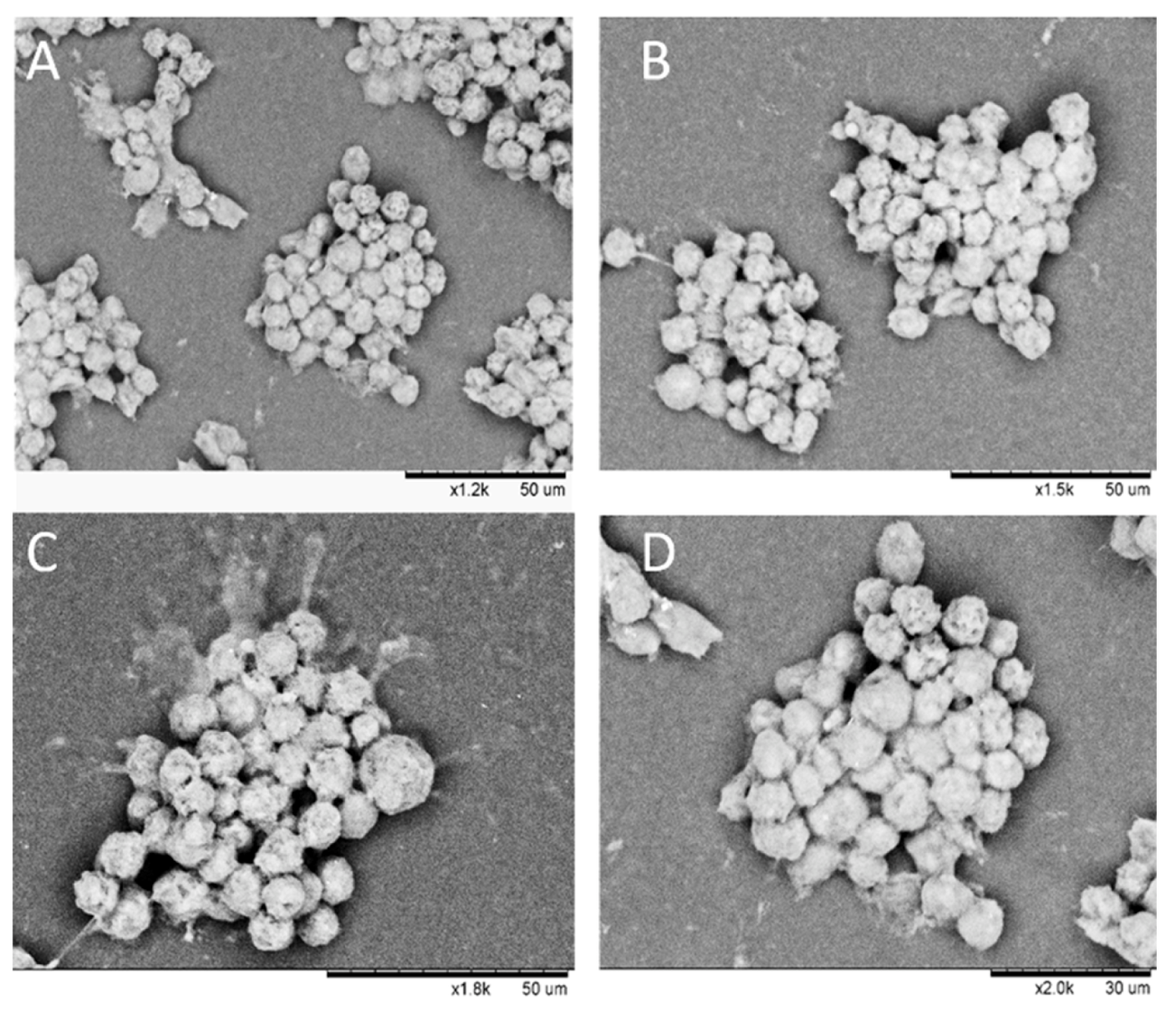 Biomimetics 04 00050 g007 Biomimetics 04 00050 g007