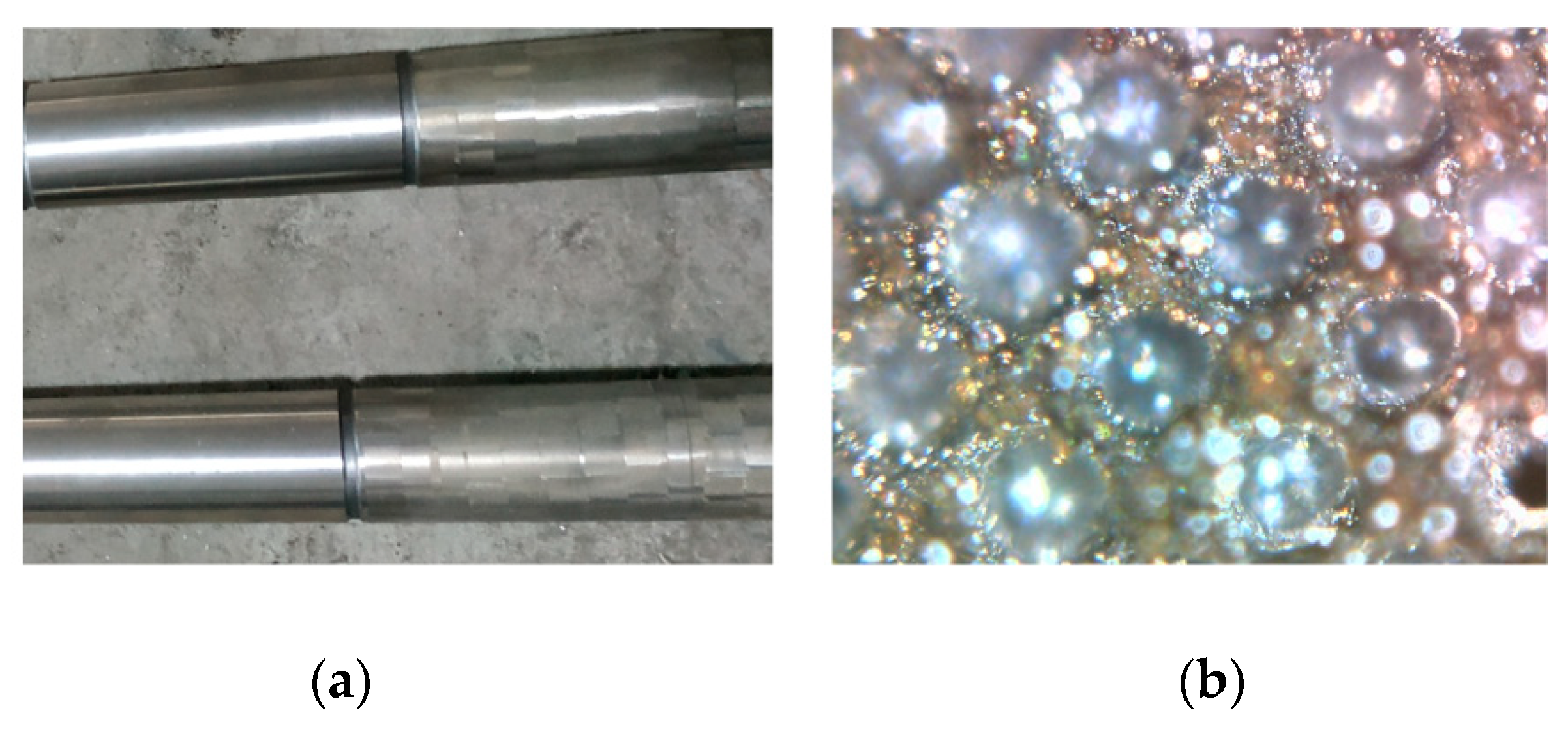 Biomimetics 04 00054 g001