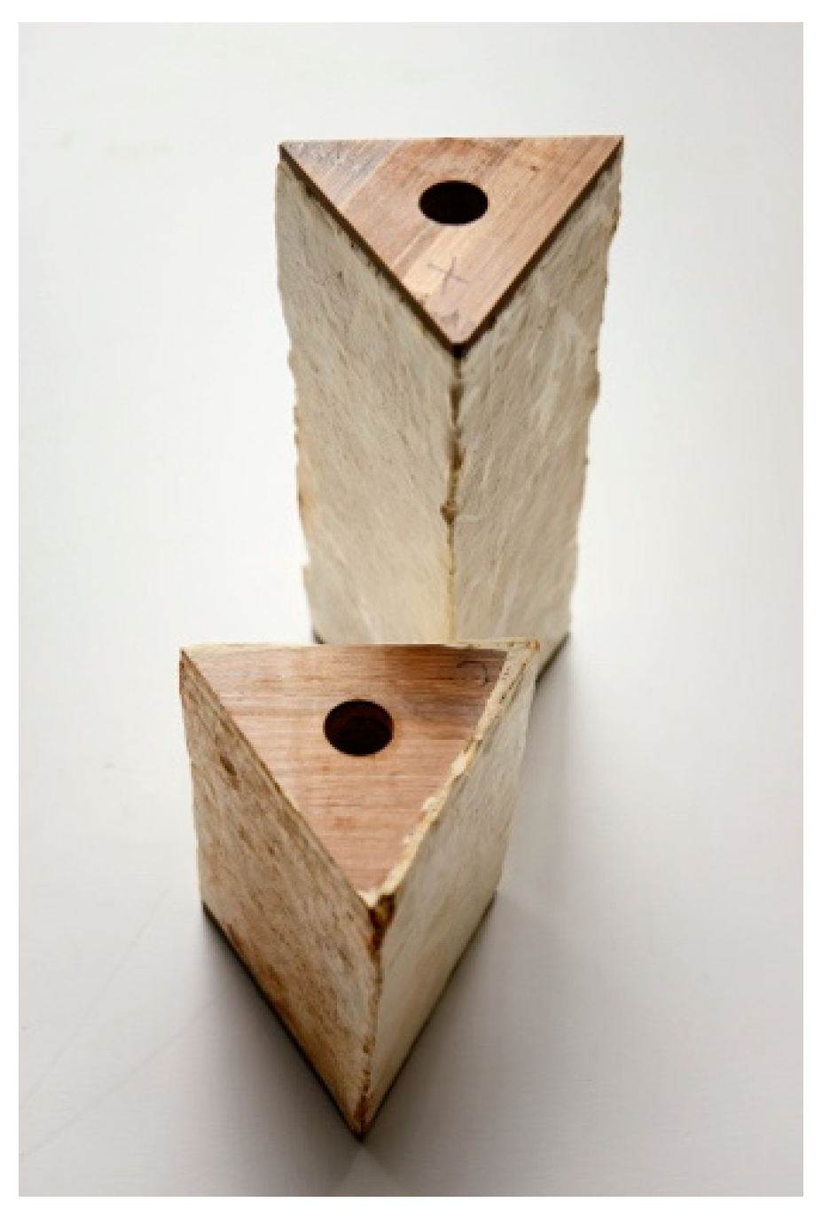 Biomimetics 04 00056 g003