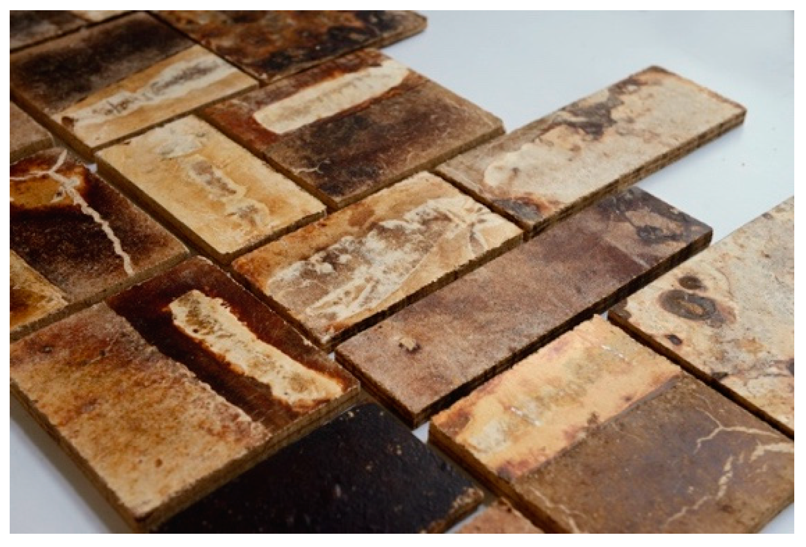 Biomimetics 04 00056 g007