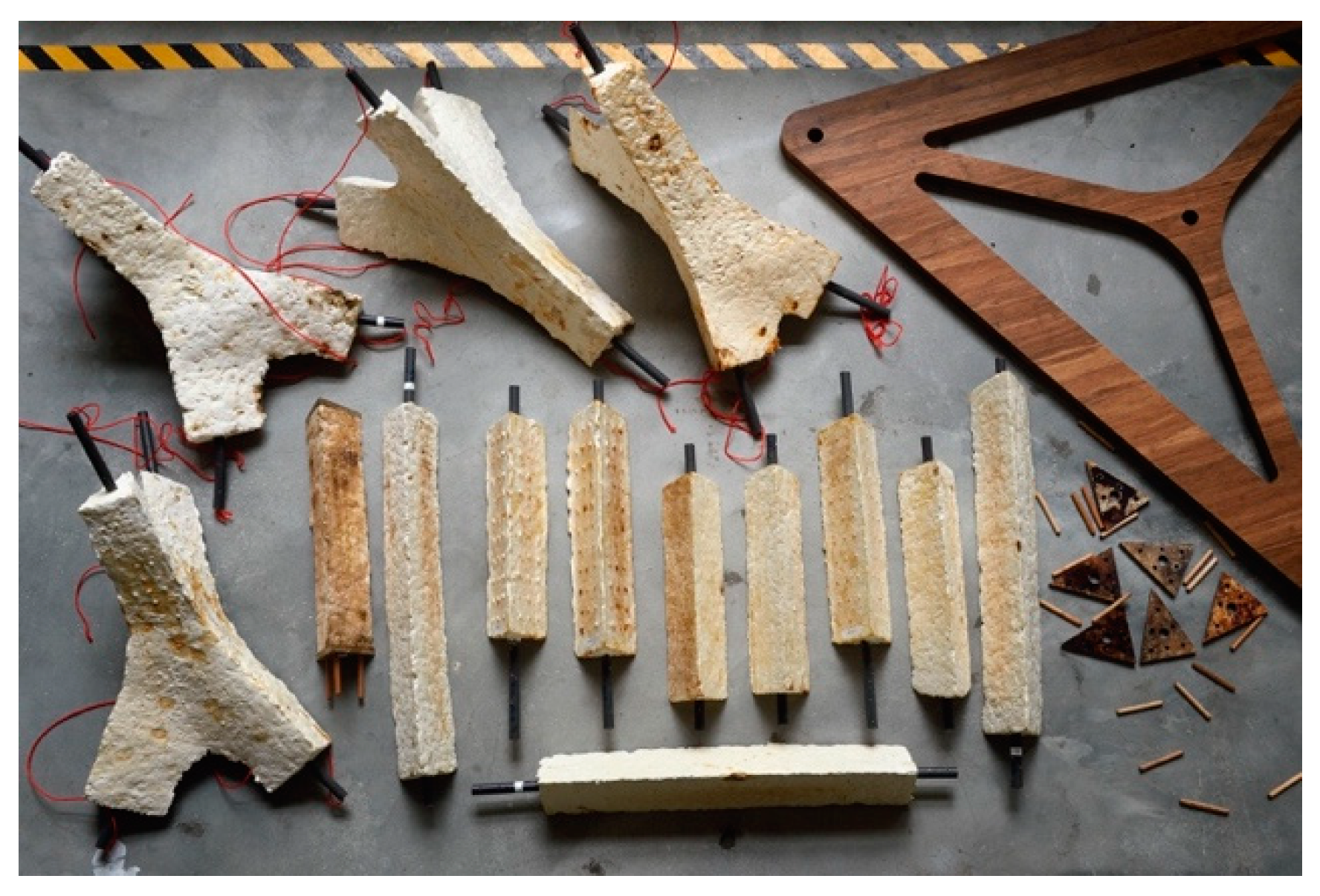 Biomimetics 04 00056 g009