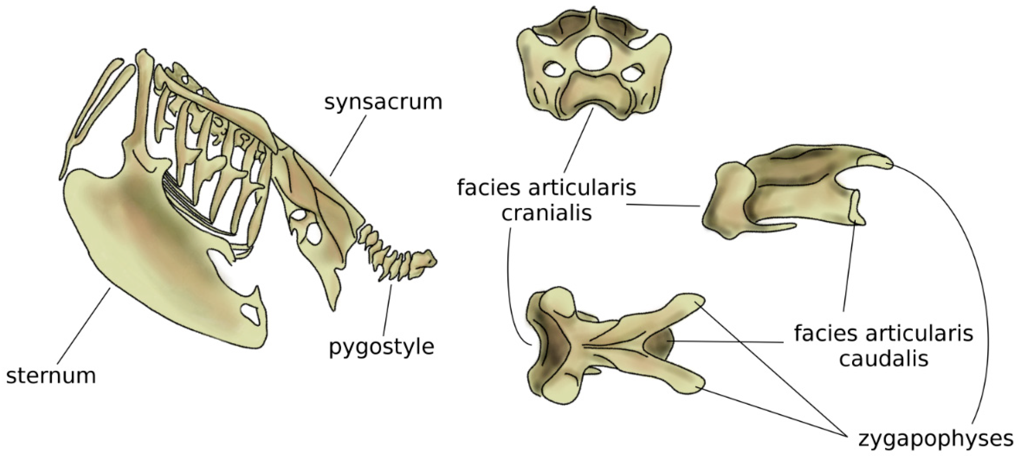 Biomimetics 04 00060 g005 Biomimetics 04 00060 g005