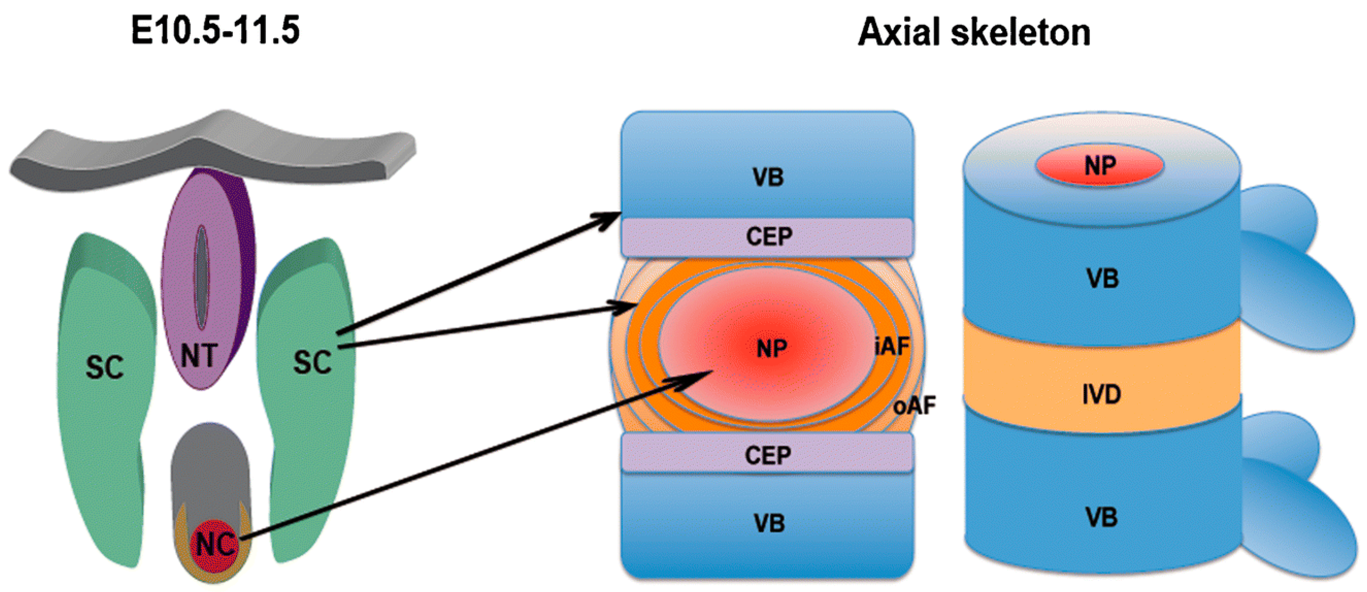 Biomimetics 04 00060 g011 Biomimetics 04 00060 g011